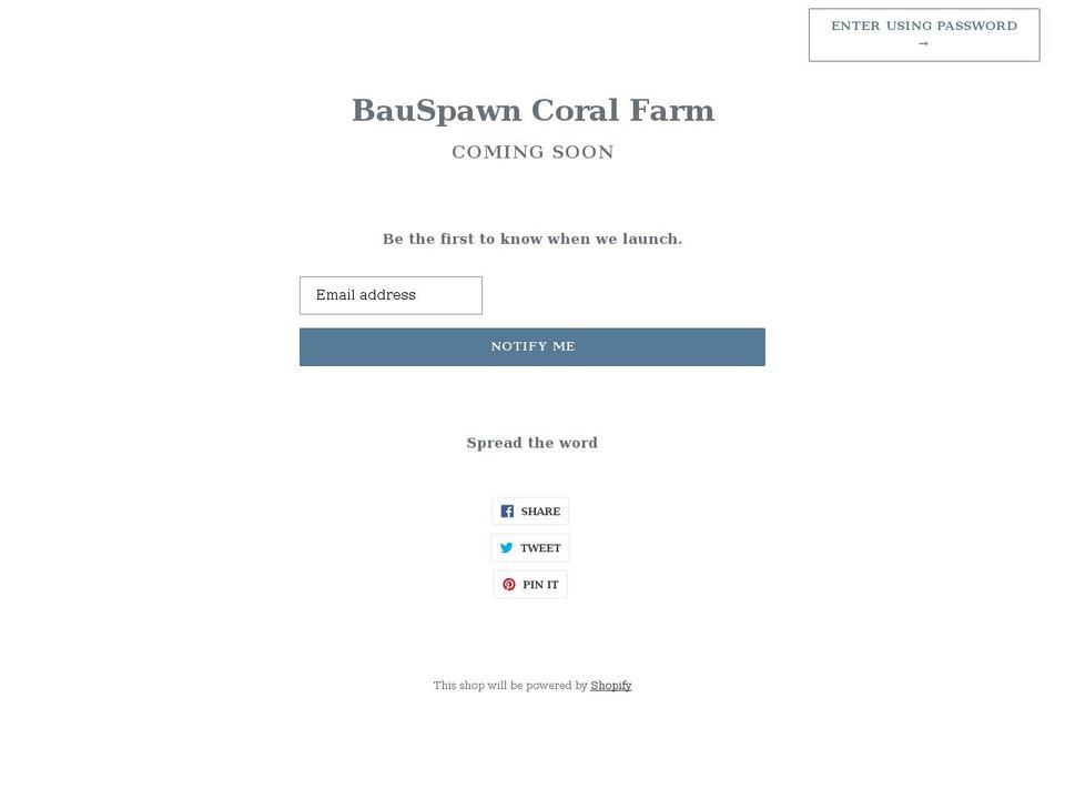 bauspawn.com shopify website screenshot