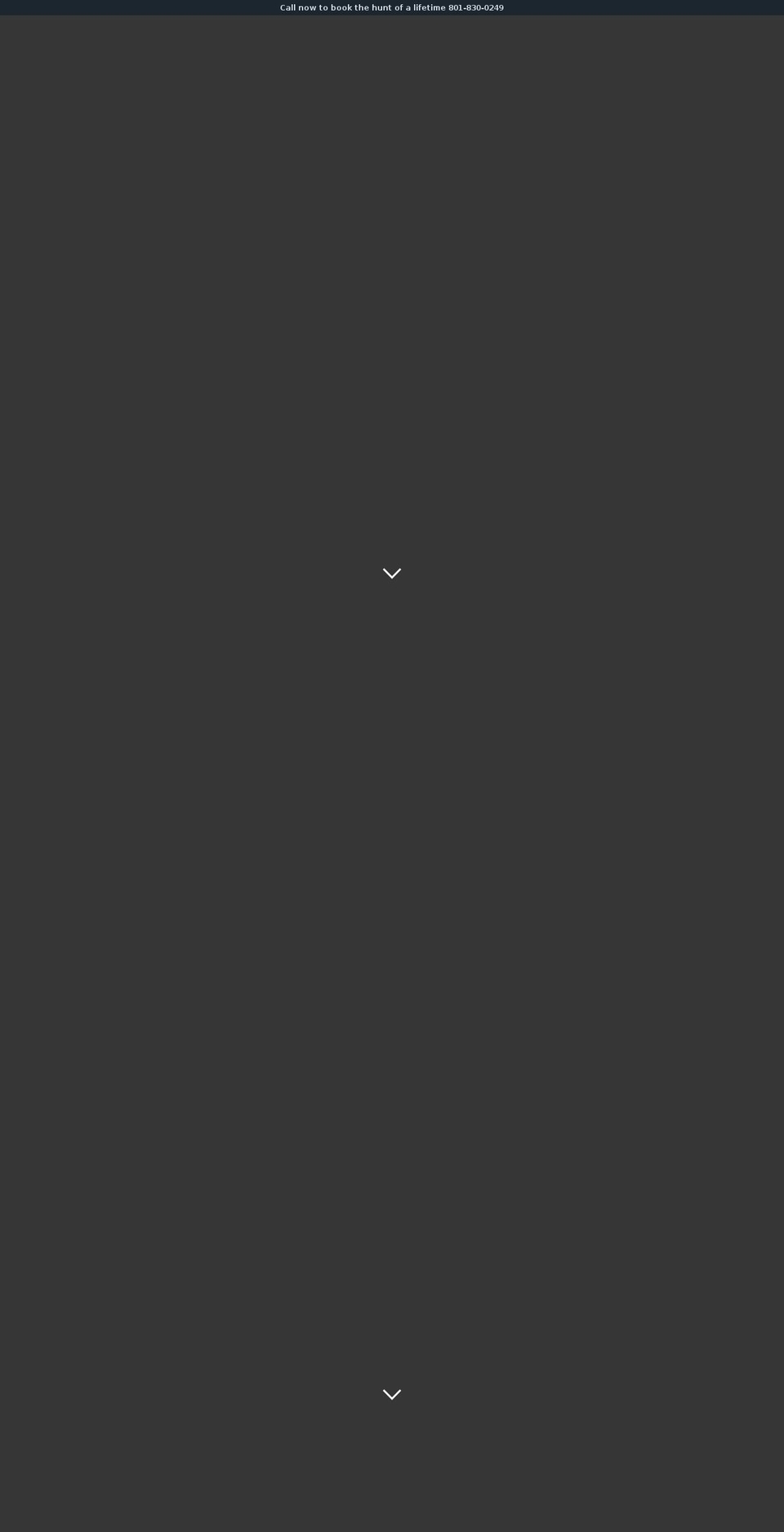 bayetehuntingsafaris.com — Shopify storefront screenshot