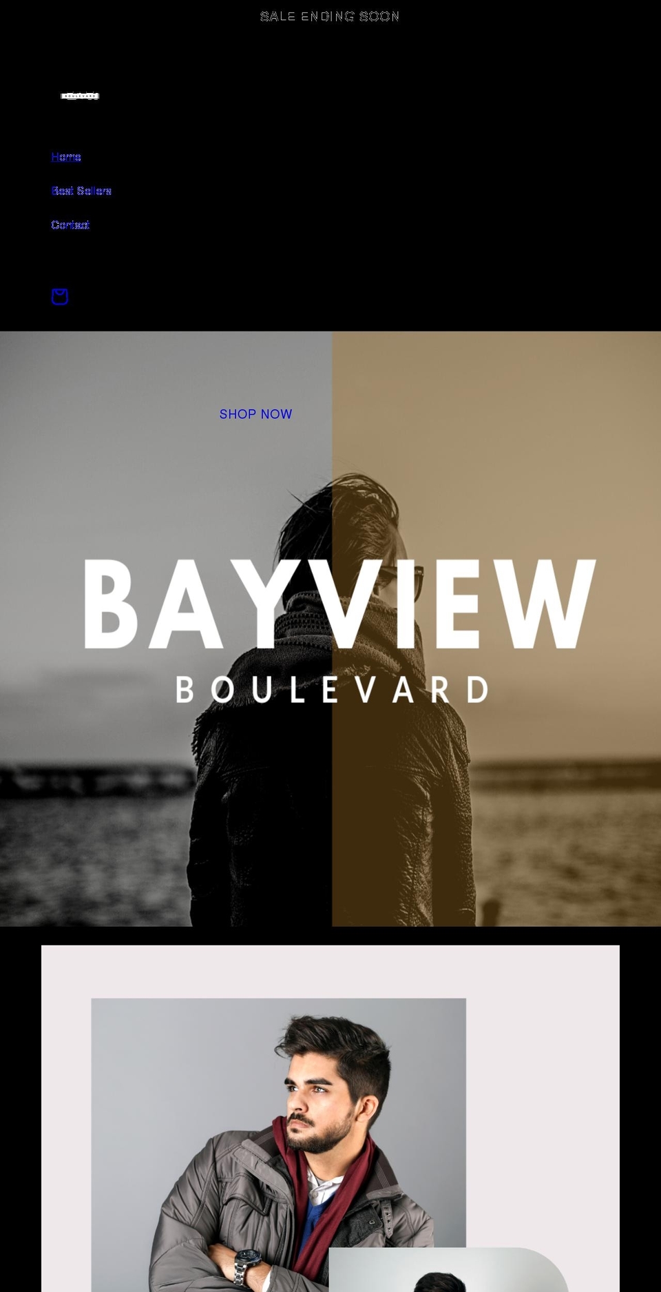 bayviewboulevard.com shopify website screenshot