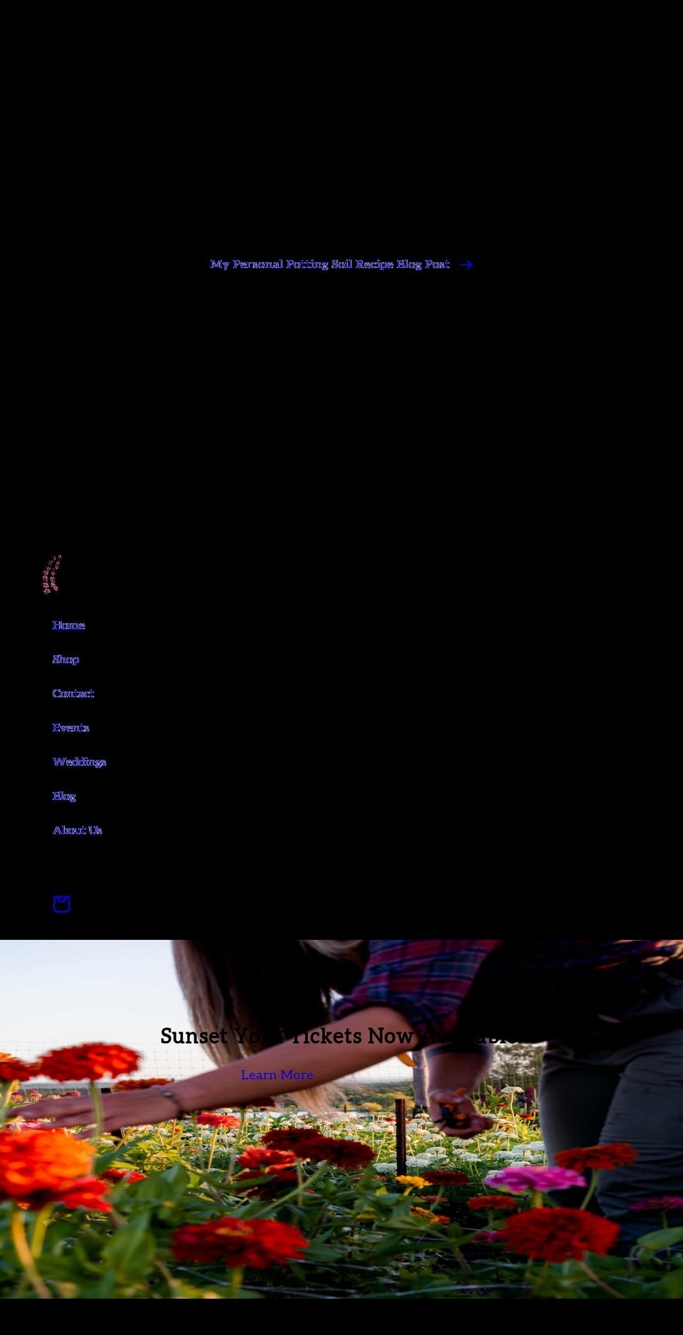 bblumenflowerfarm.com shopify website screenshot