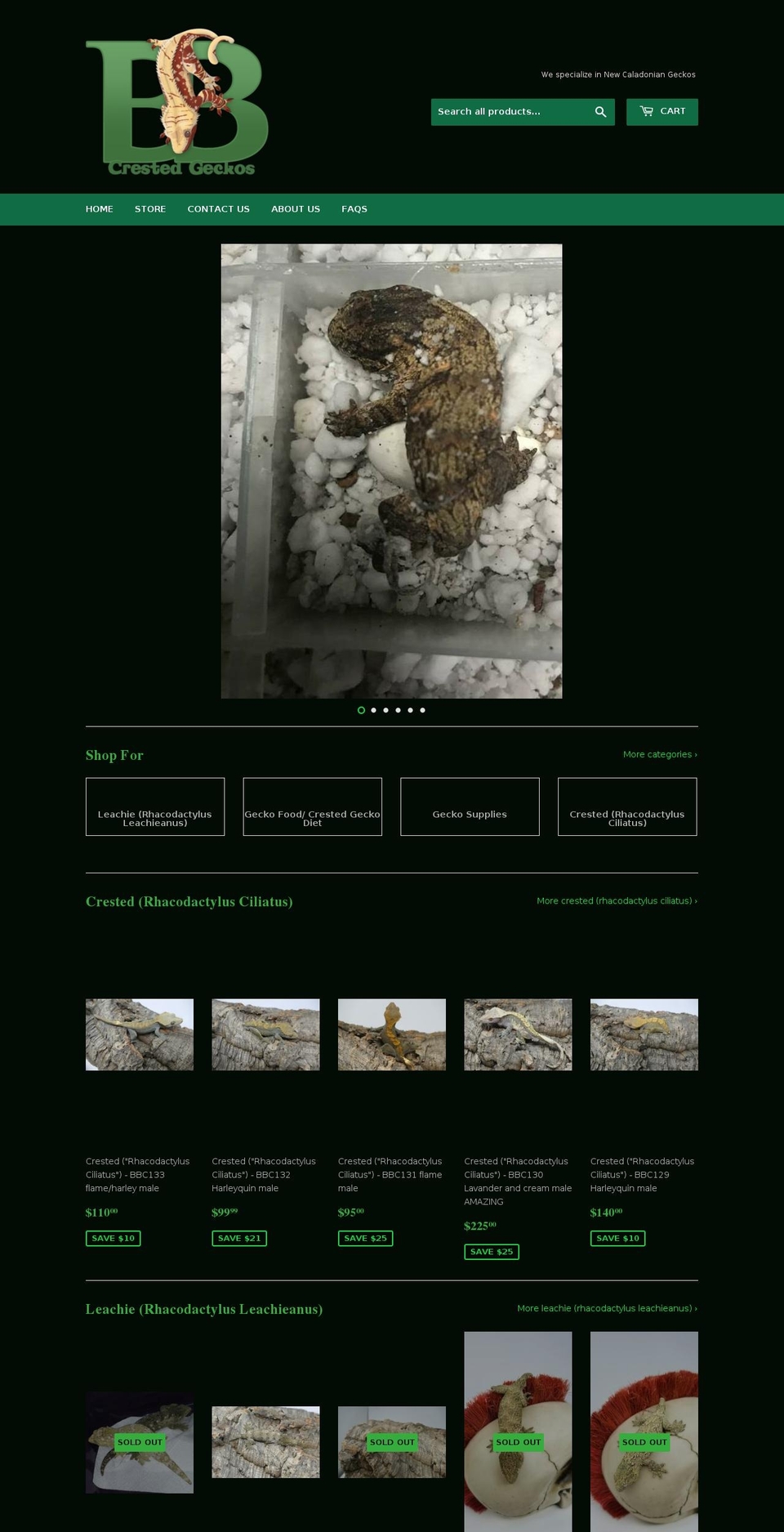 bbscrestedgeckos.com shopify website screenshot