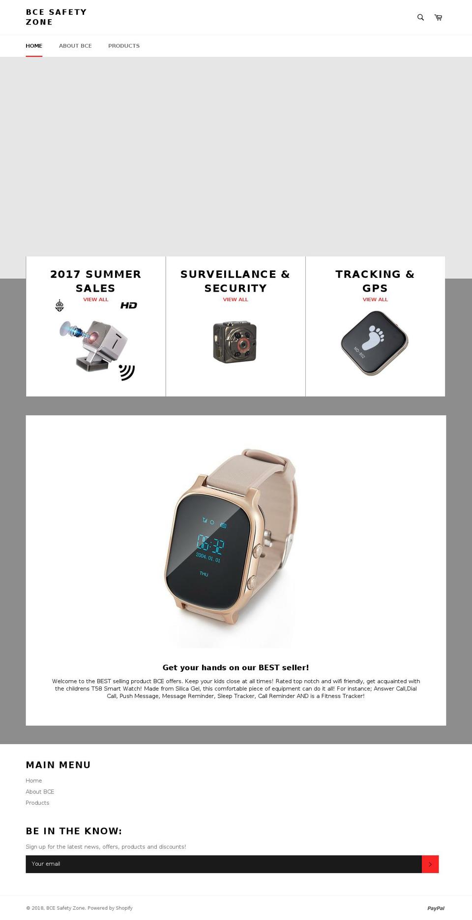 bcesafetyzone.com — Shopify storefront screenshot
