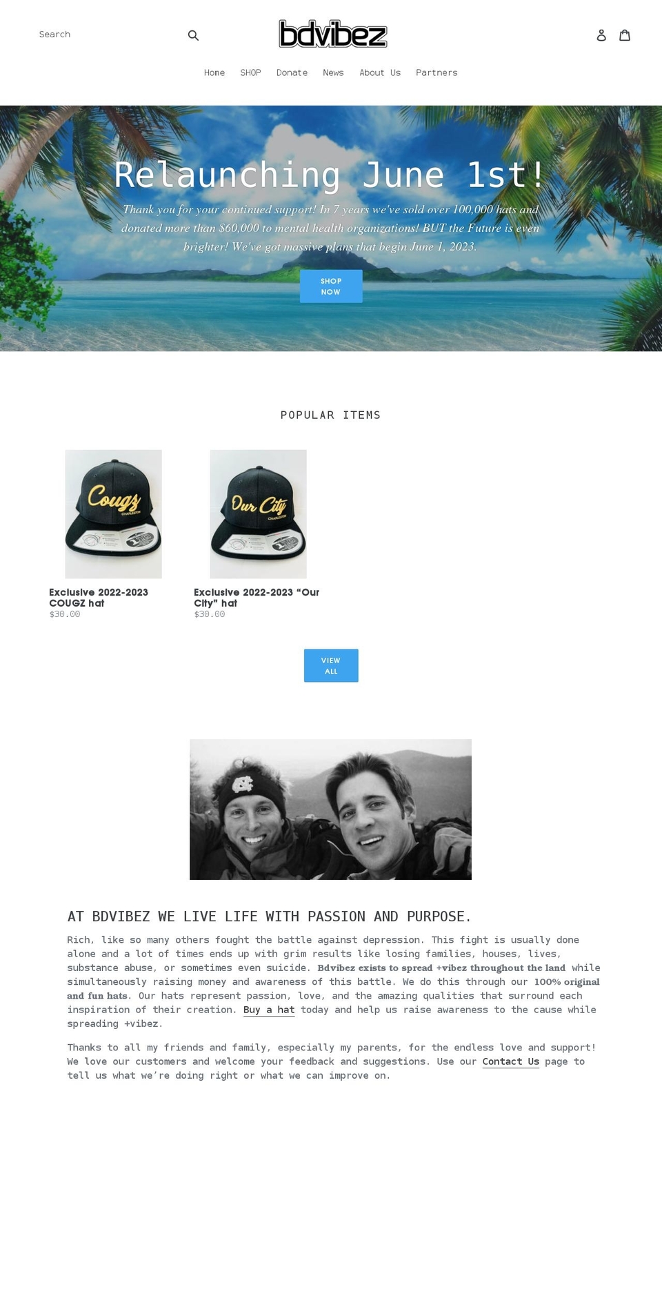 bdvibez.com shopify website screenshot