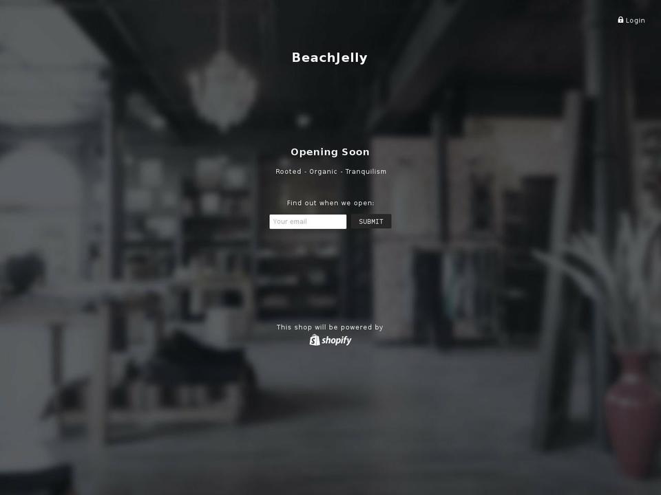 beachjelly.com — Shopify storefront screenshot