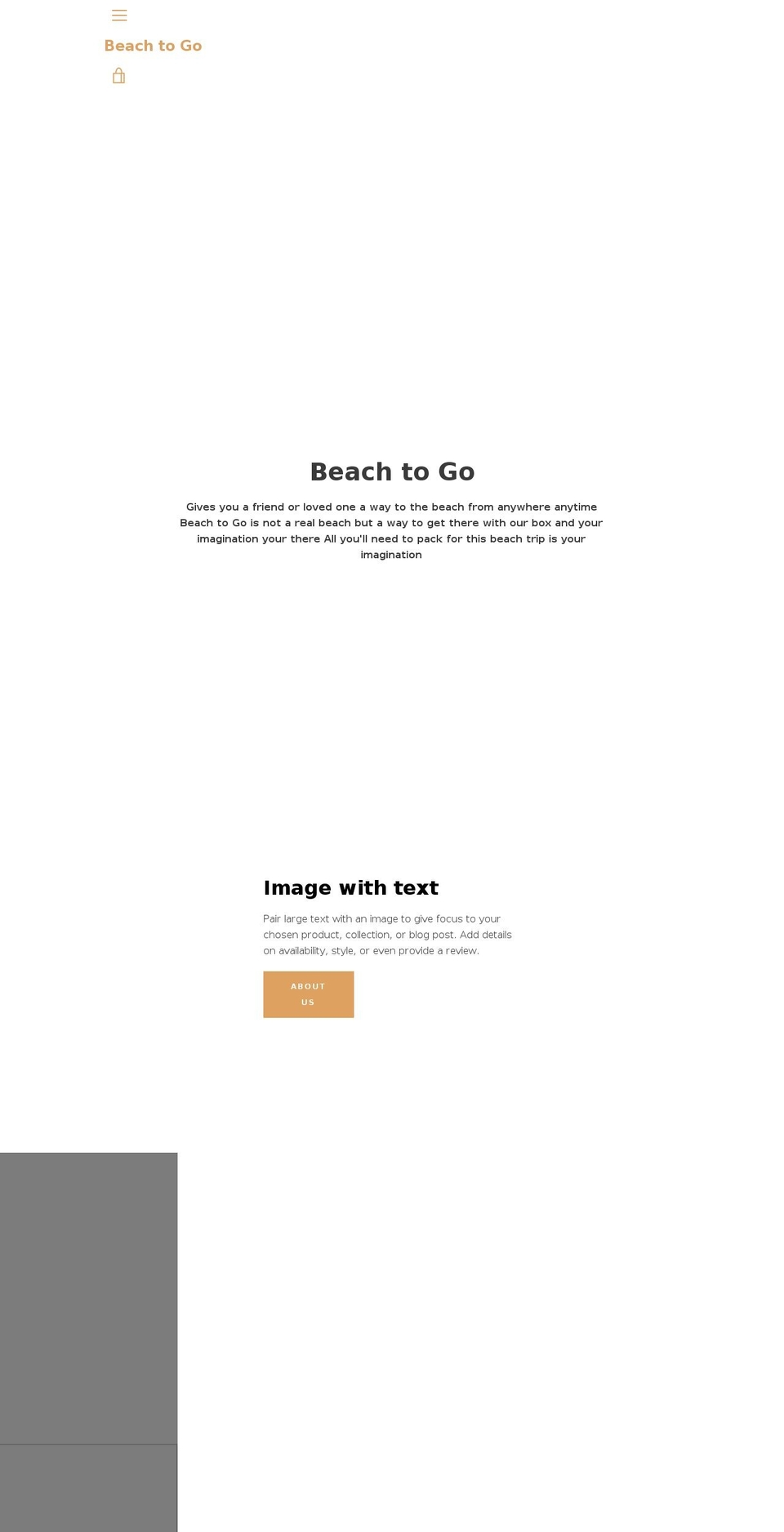 beachtogo.org shopify website screenshot