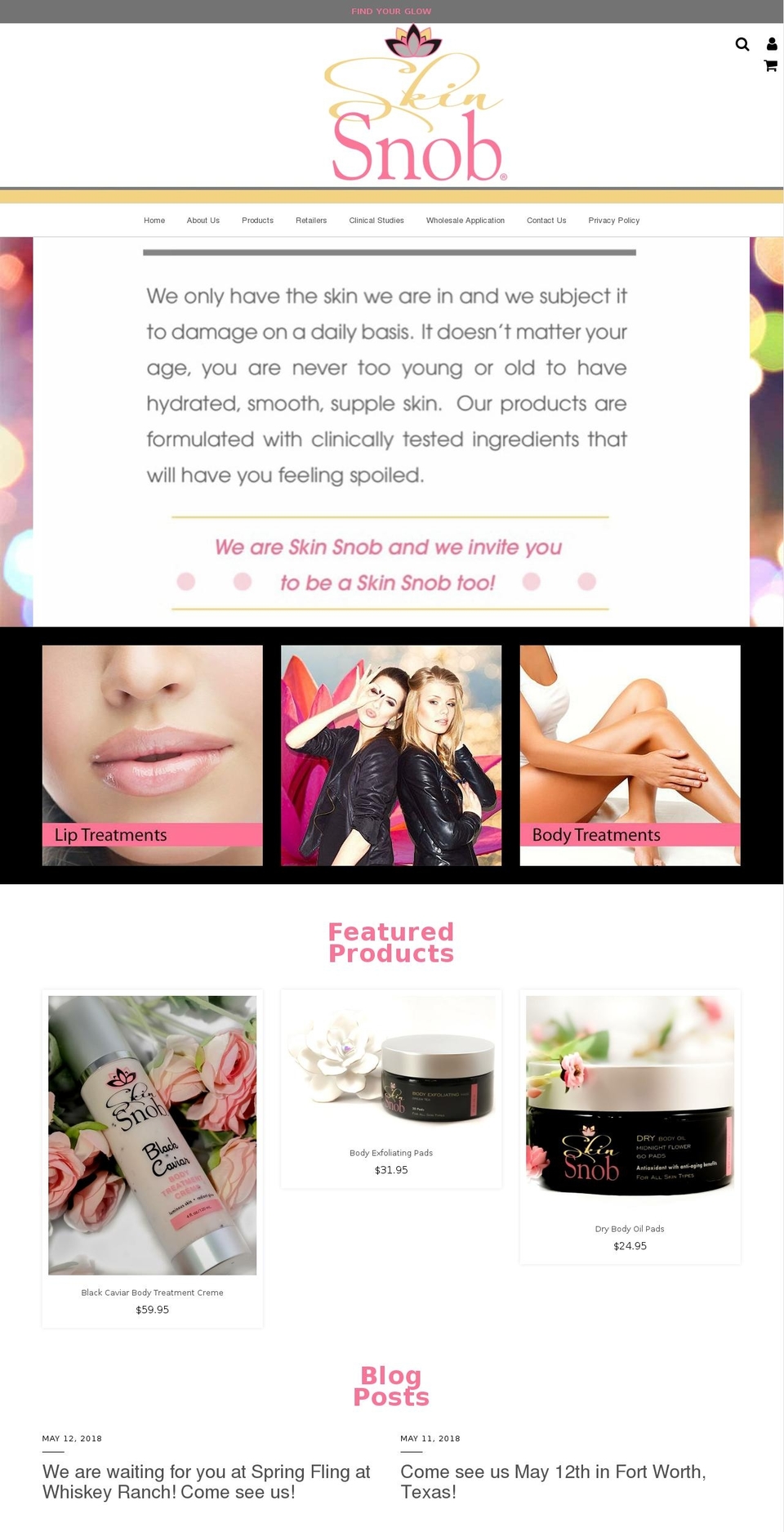 beaskinsnob.com — Shopify storefront screenshot