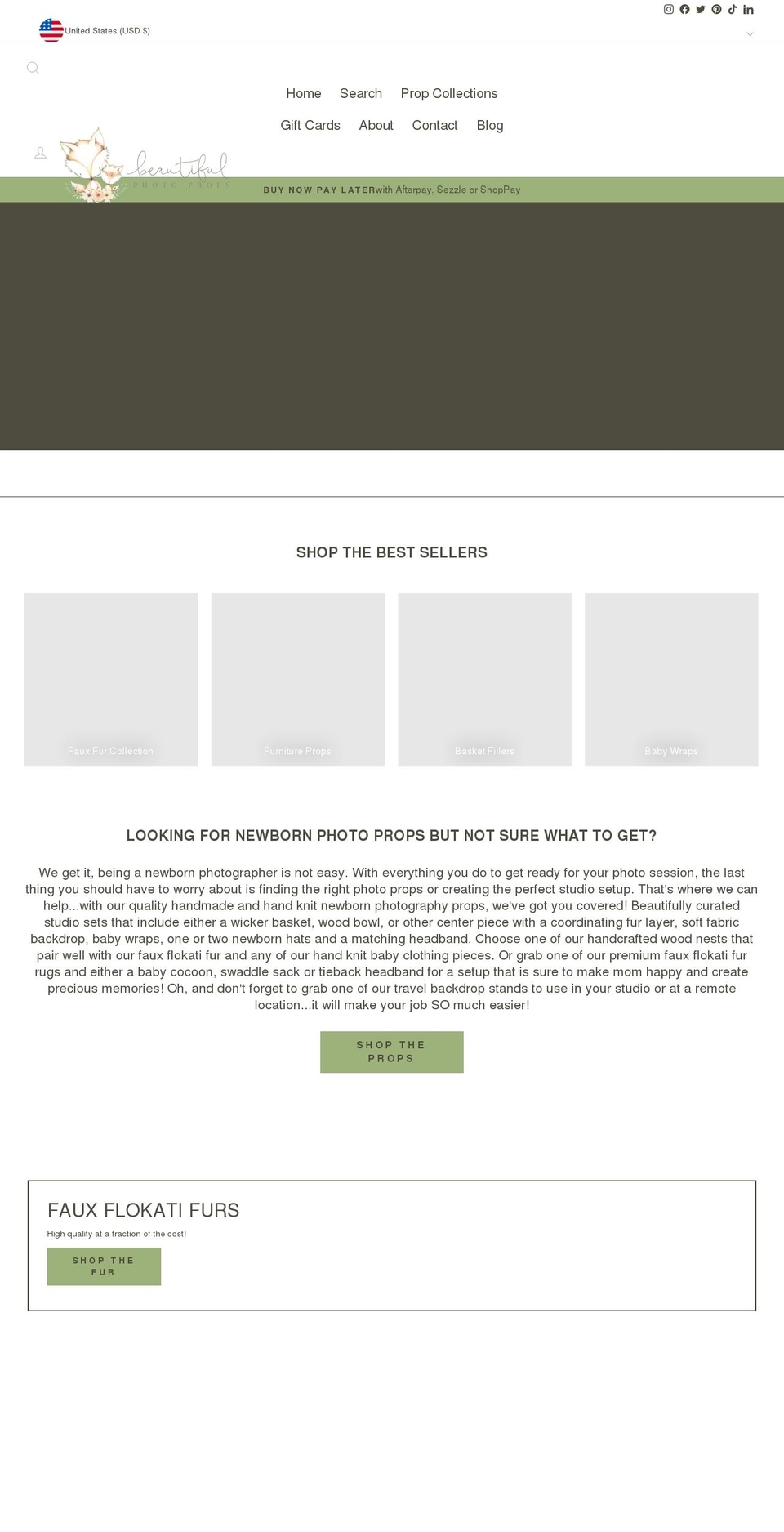 beautifulphotoprop.com — Shopify storefront screenshot