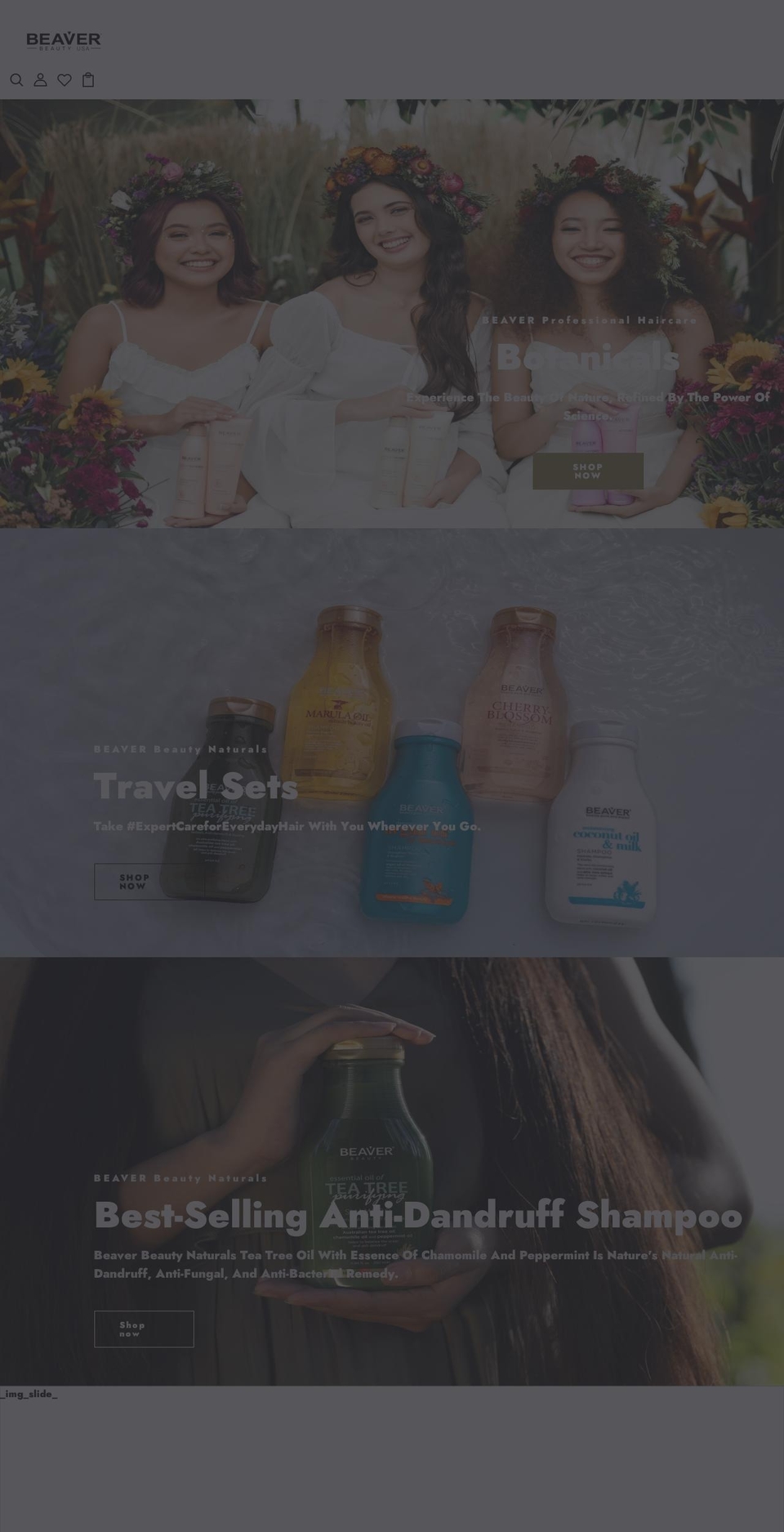 beaverph.com shopify website screenshot