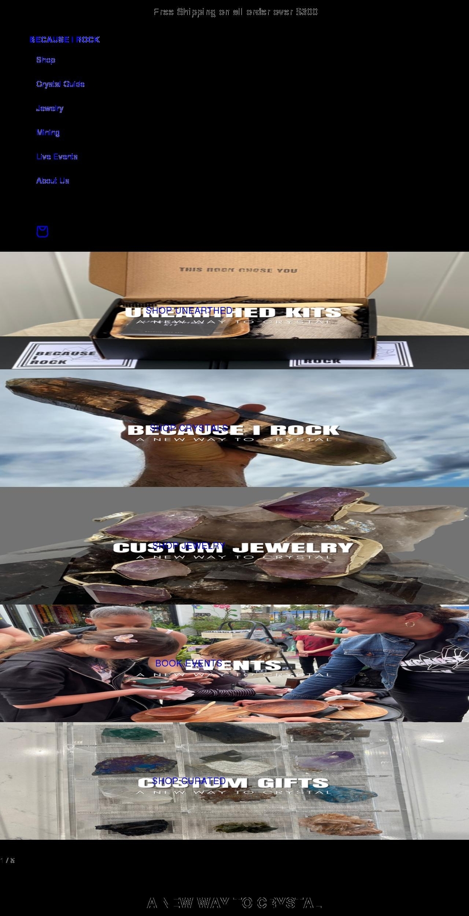 becauseirock.com shopify website screenshot