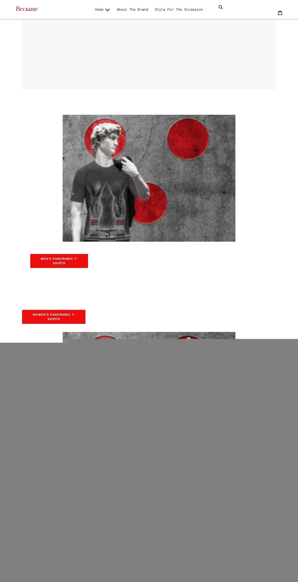 becausetshirts.com shopify website screenshot