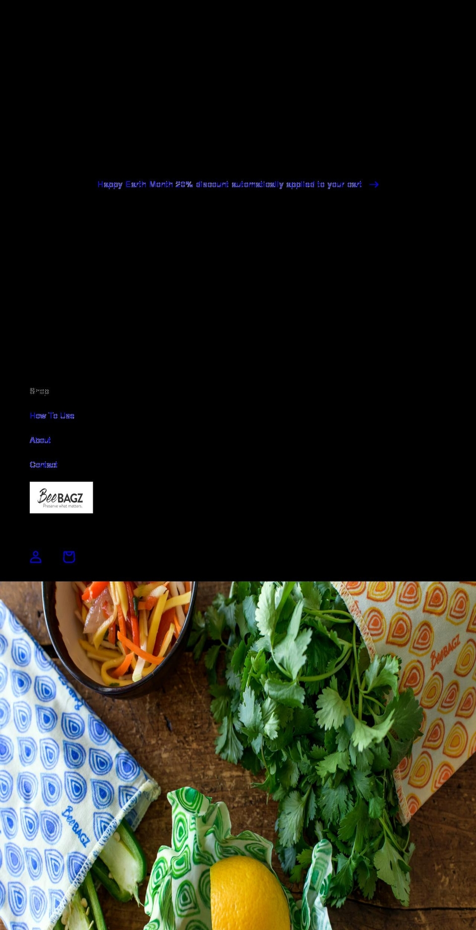 beebagz.com shopify website screenshot