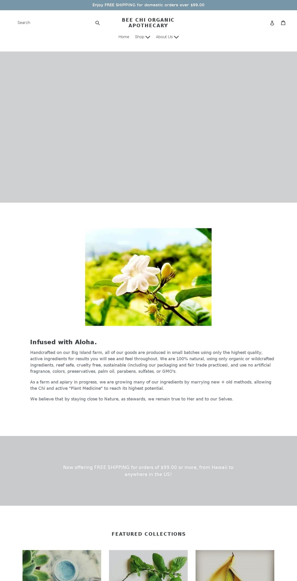 beechiorganics.com — Shopify storefront screenshot
