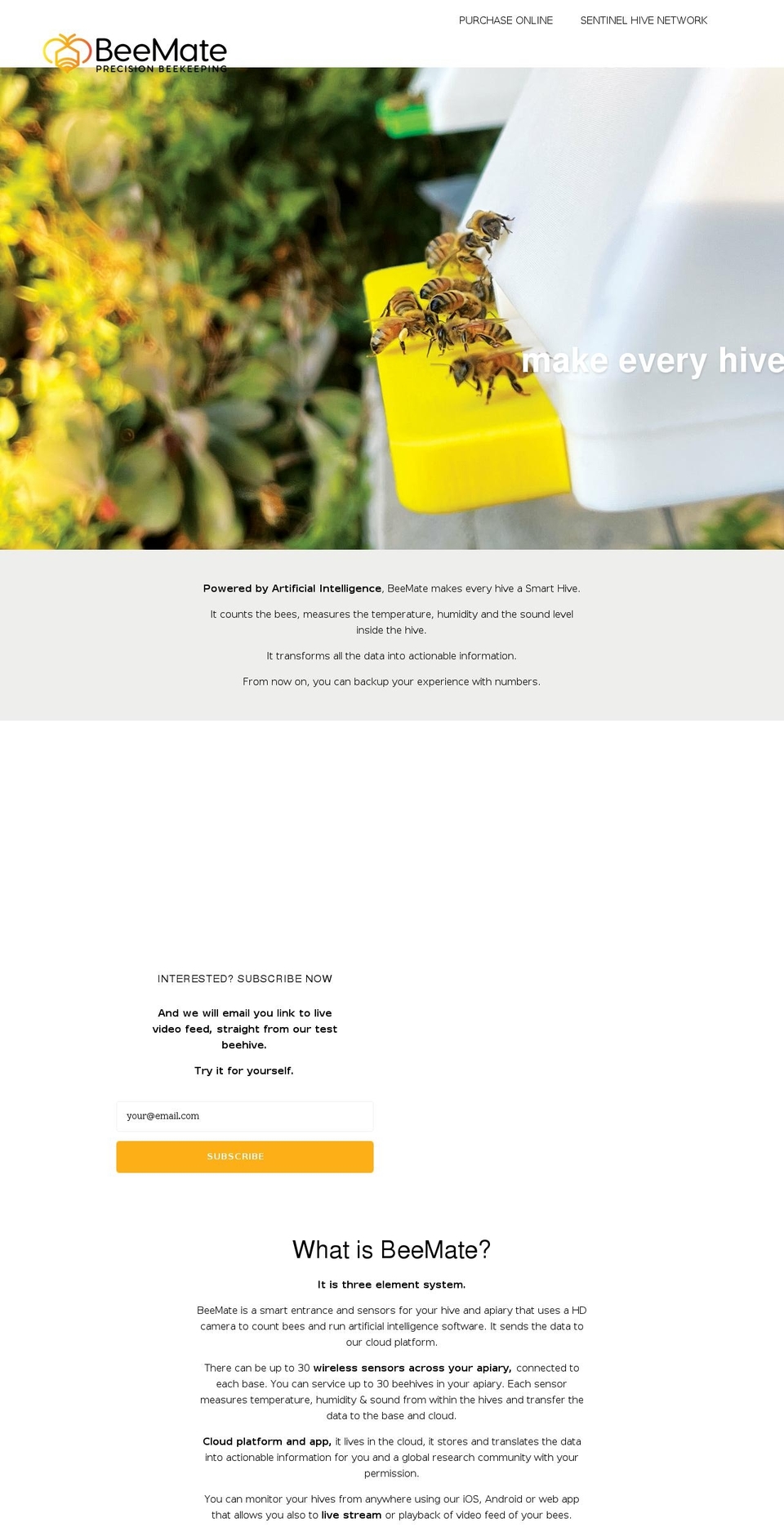 beemate.buzz shopify website screenshot