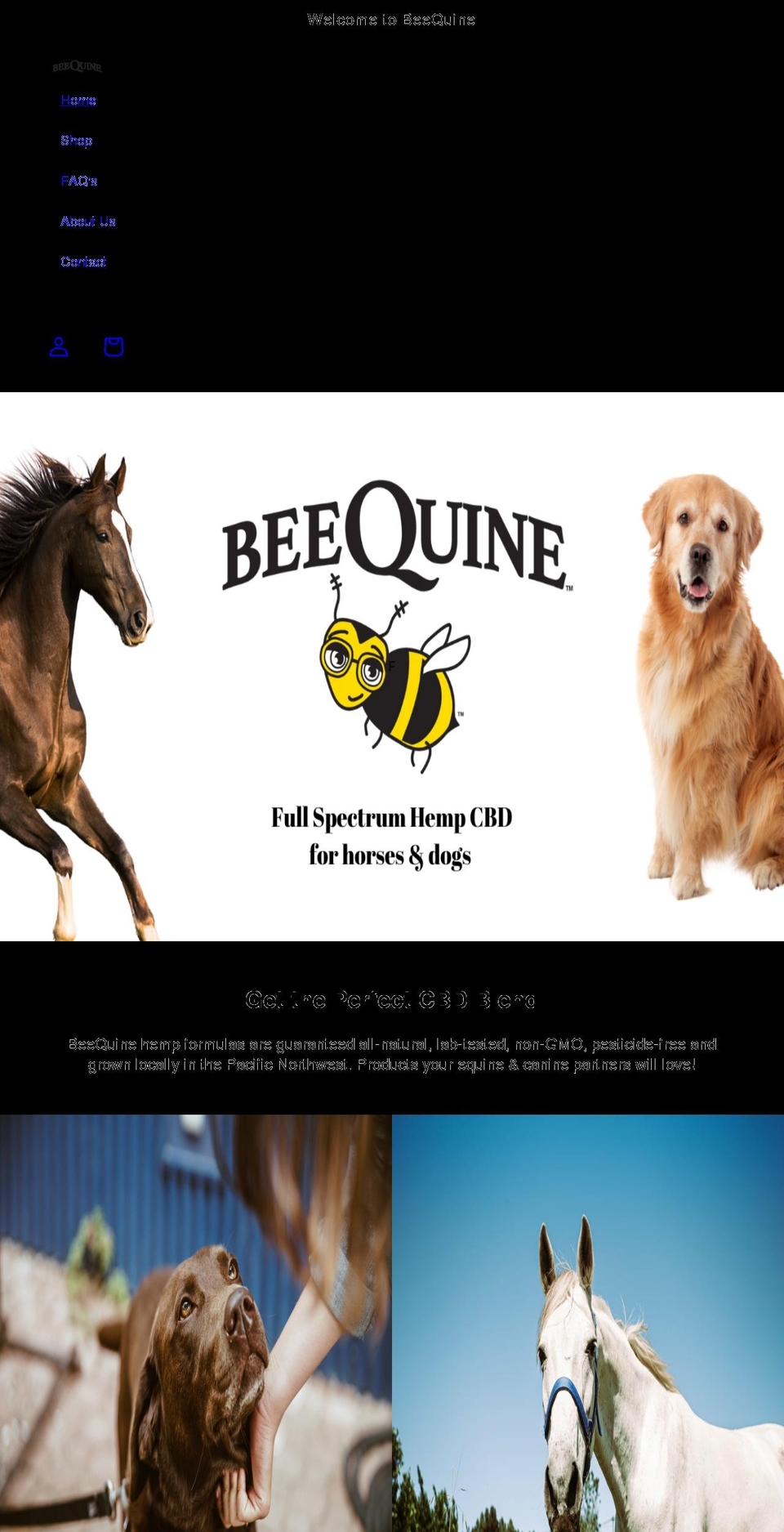 beequinepnw.com shopify website screenshot