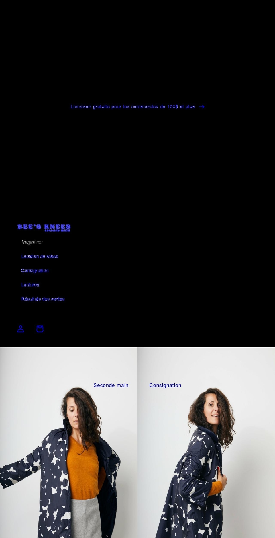 beesknees.boutique shopify website screenshot