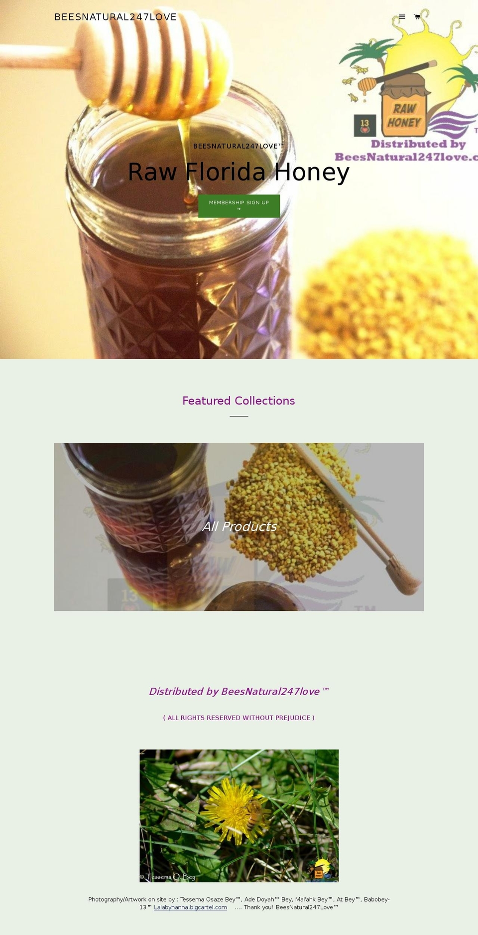 beesnatural247love.com shopify website screenshot