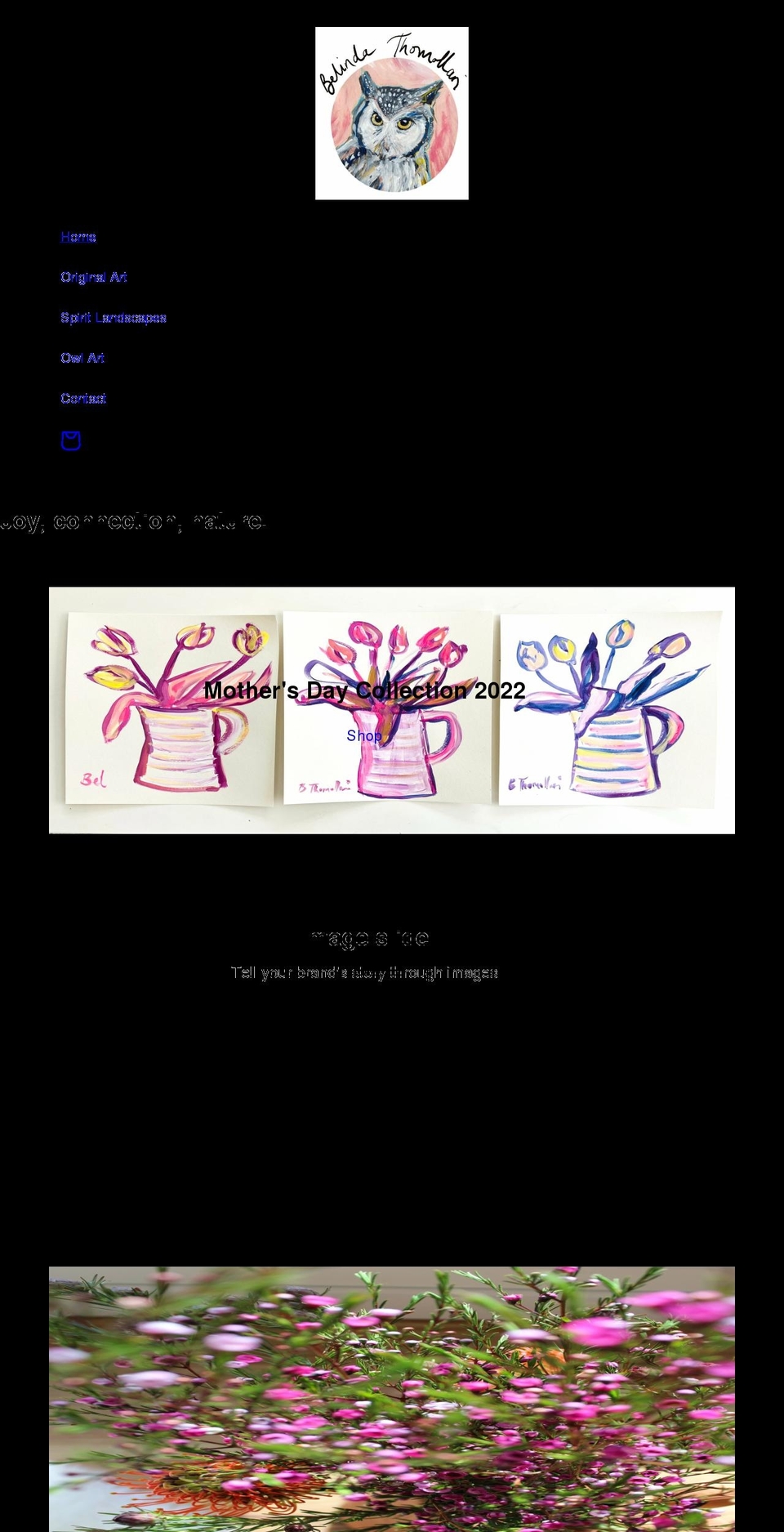 belindathomollari.com shopify website screenshot