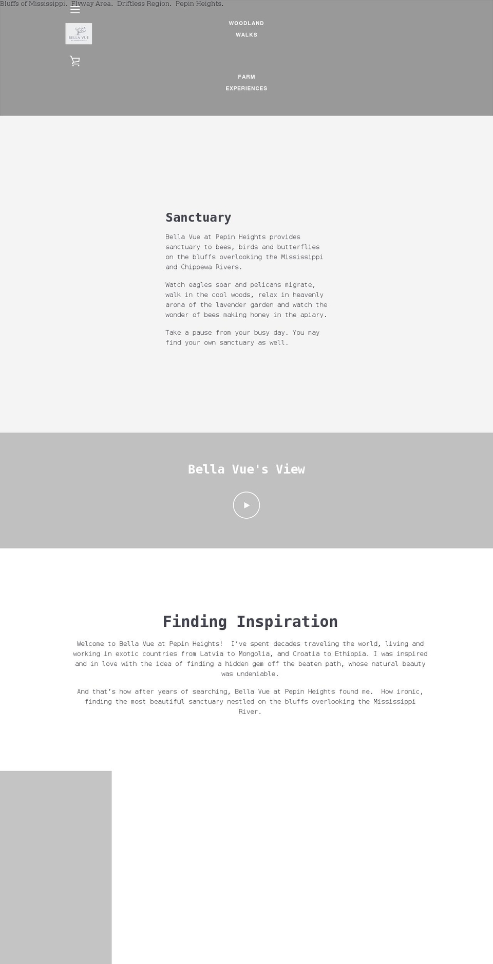 bellavue.org shopify website screenshot