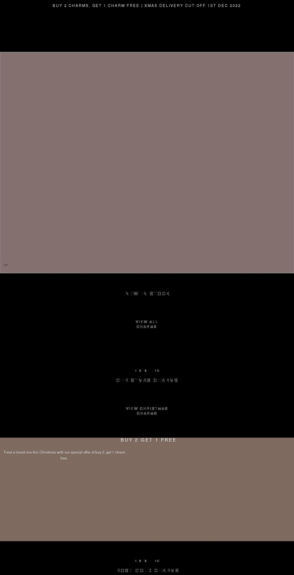 bellevueinsurancegroup.com shopify website screenshot