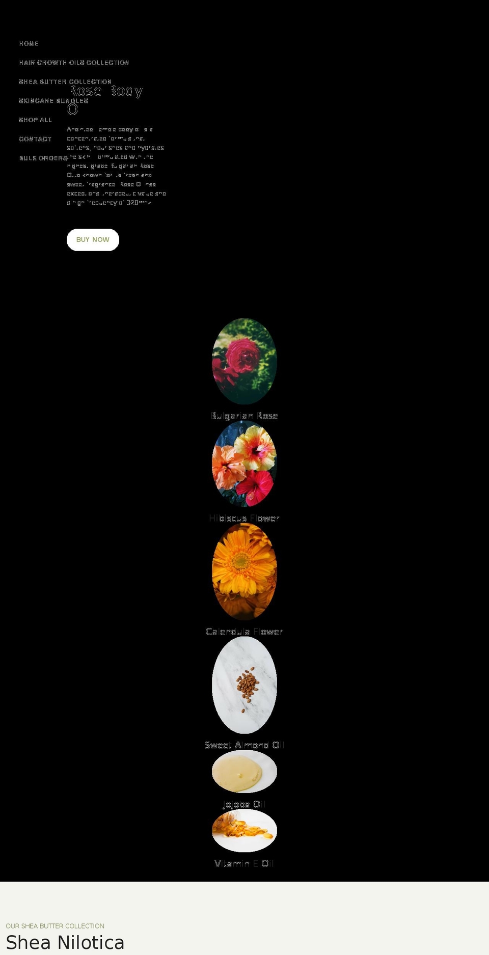 belorganyx.com shopify website screenshot