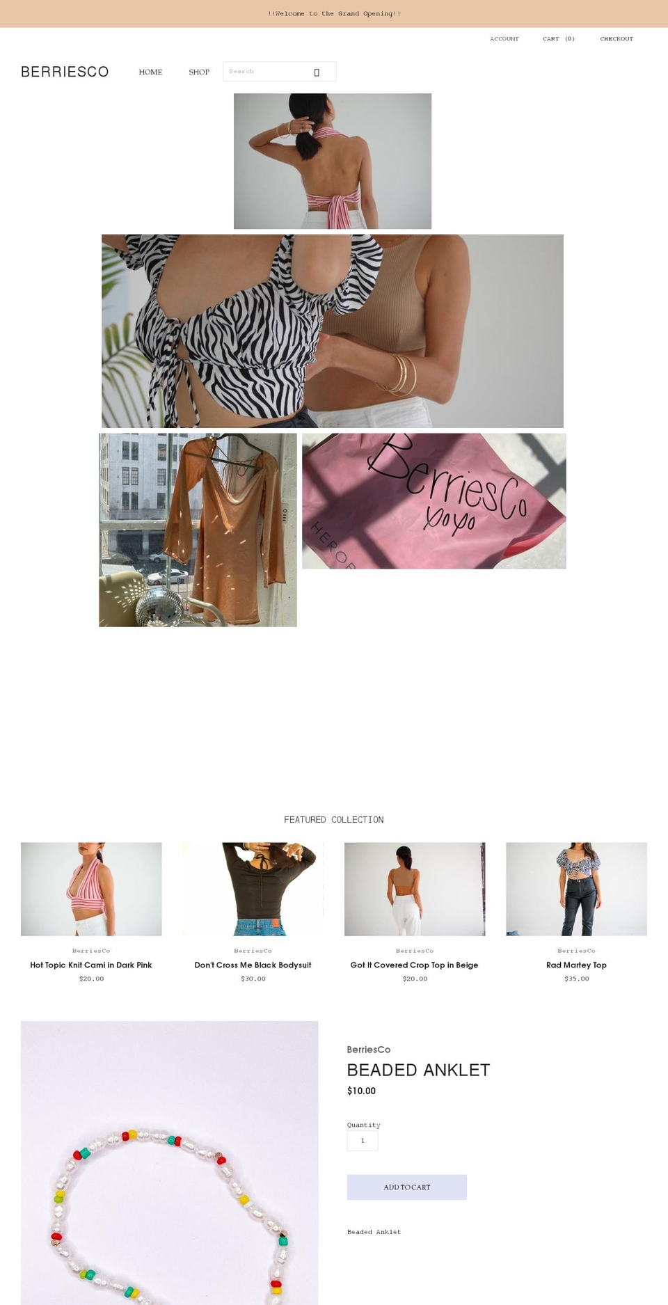 berriesco.com shopify website screenshot
