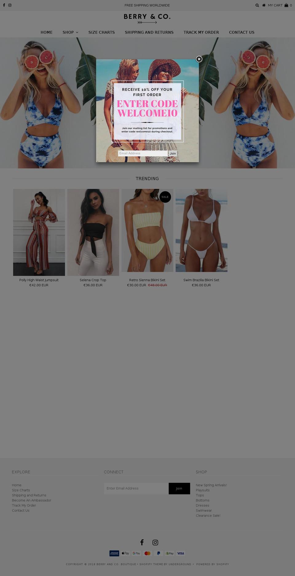 berryandcoboutique.com — Shopify storefront screenshot