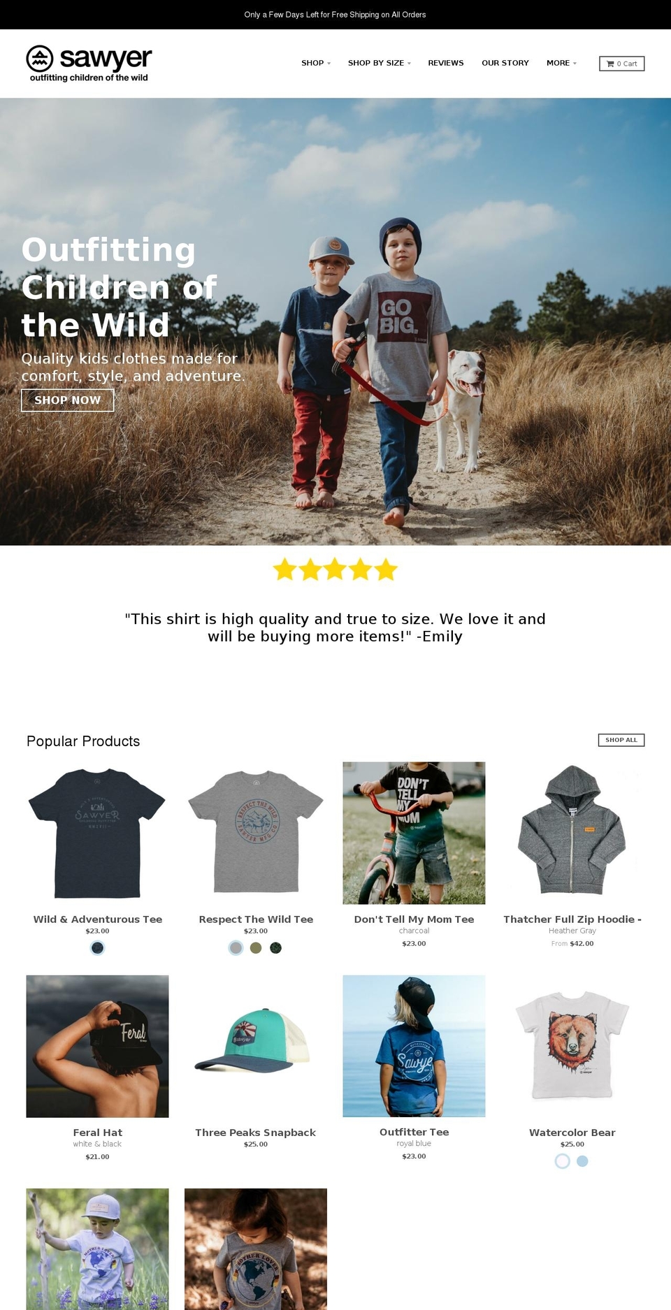 besawyer.com shopify website screenshot