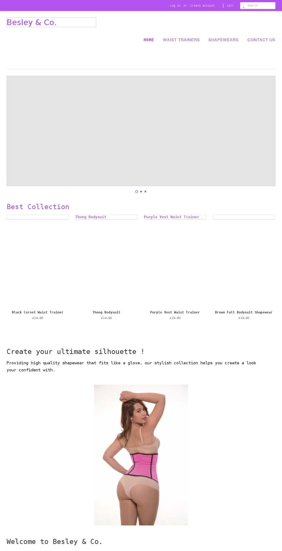 besleyco.com shopify website screenshot