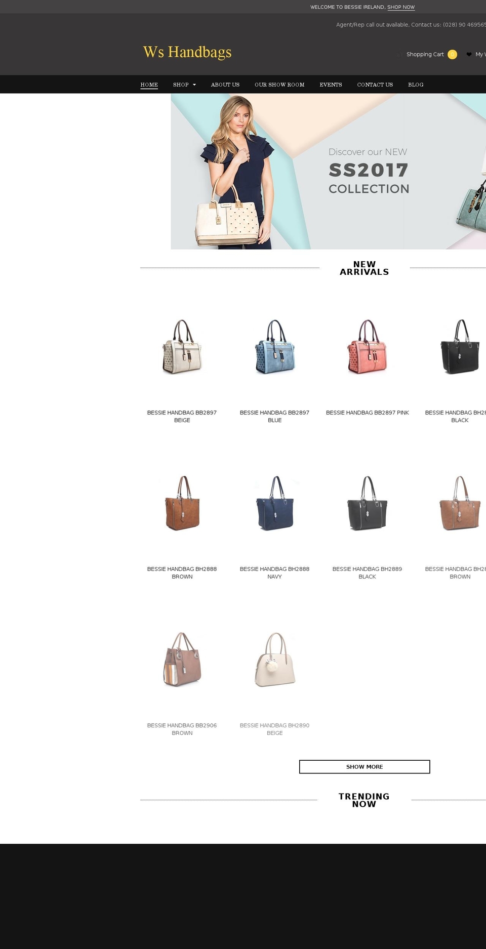 bessieireland.com shopify website screenshot