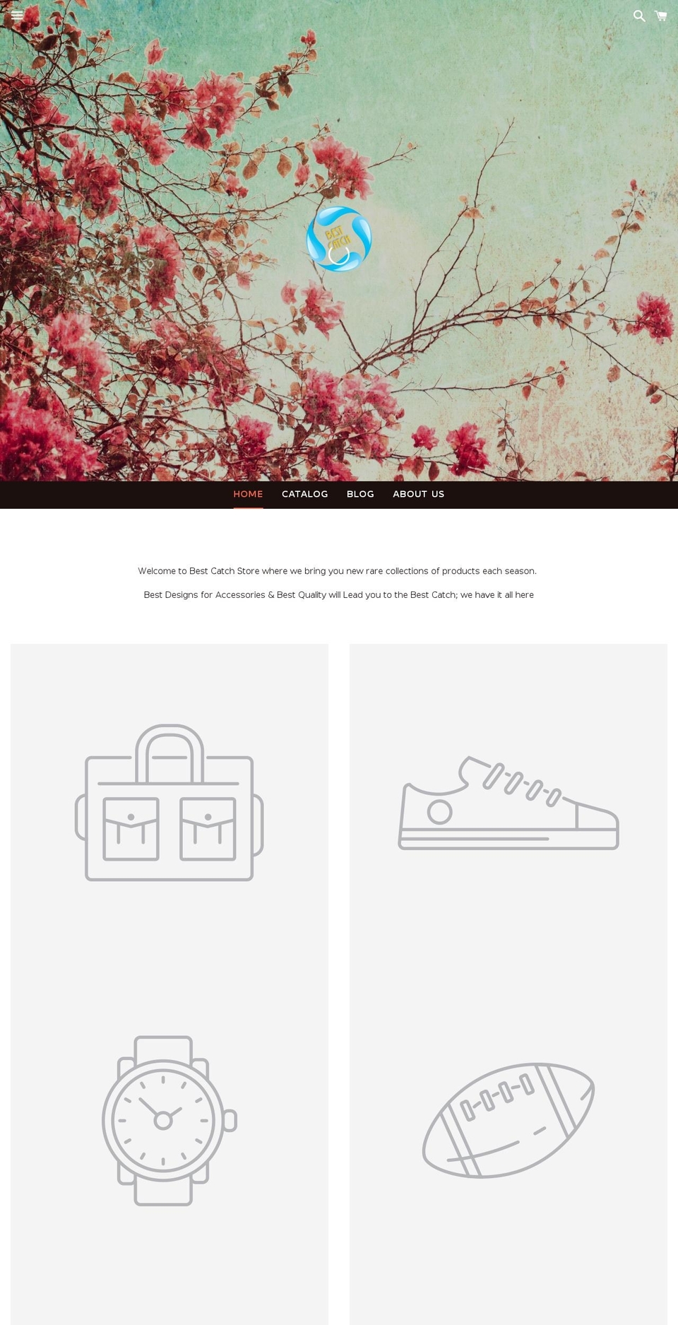 bestcatchstore.com — Shopify storefront screenshot