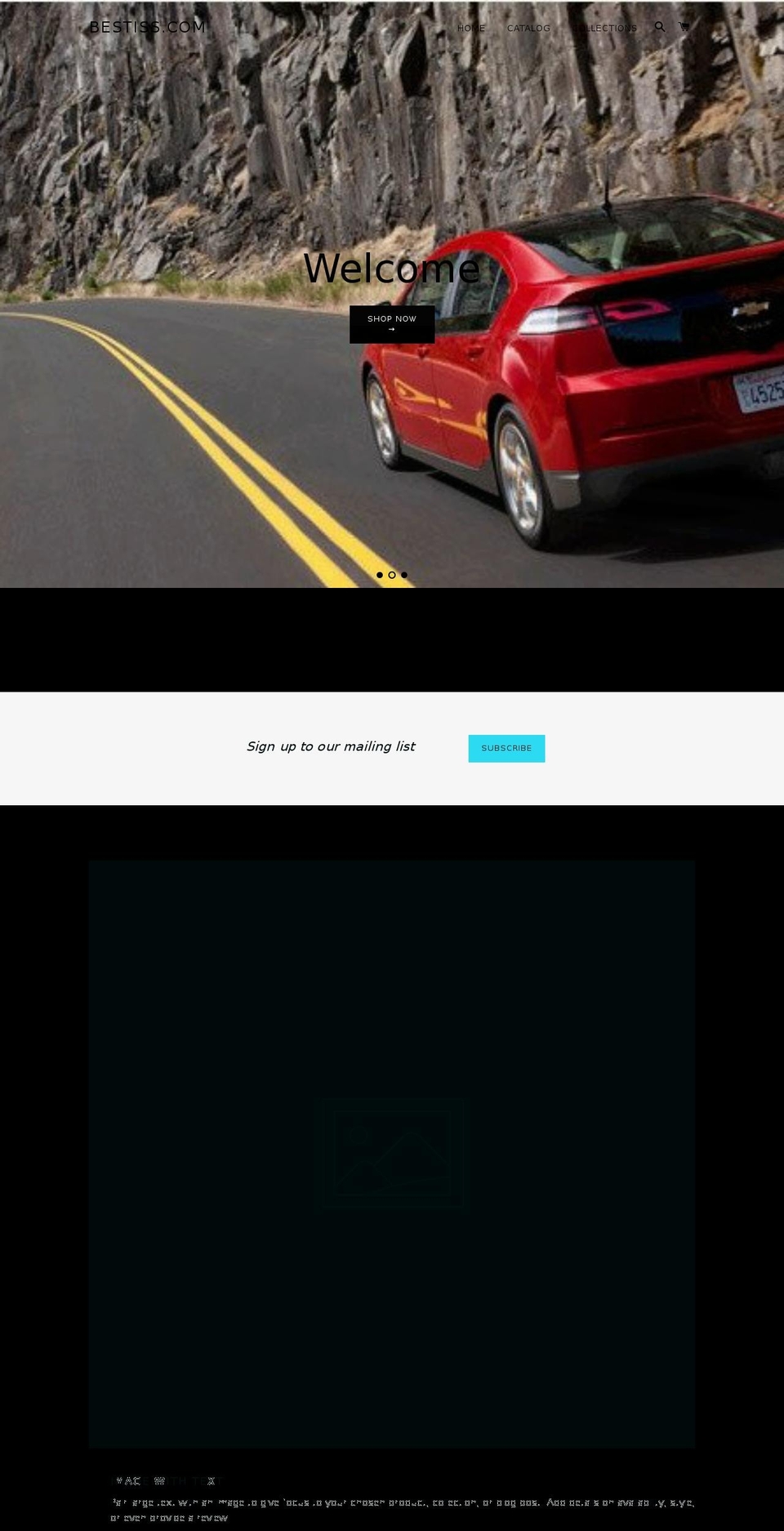 bestiss.com shopify website screenshot