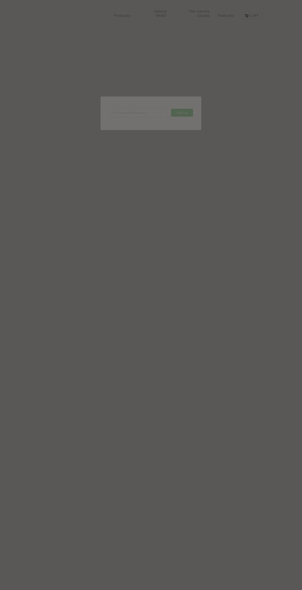 bestluggageintheworld.com — Shopify storefront screenshot