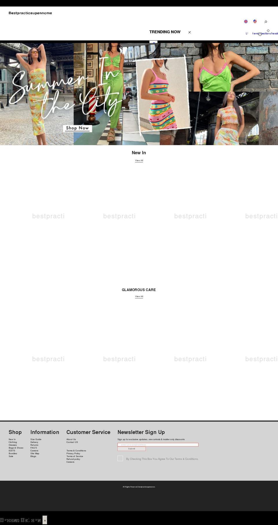 bestpracticeupenncme.com shopify website screenshot