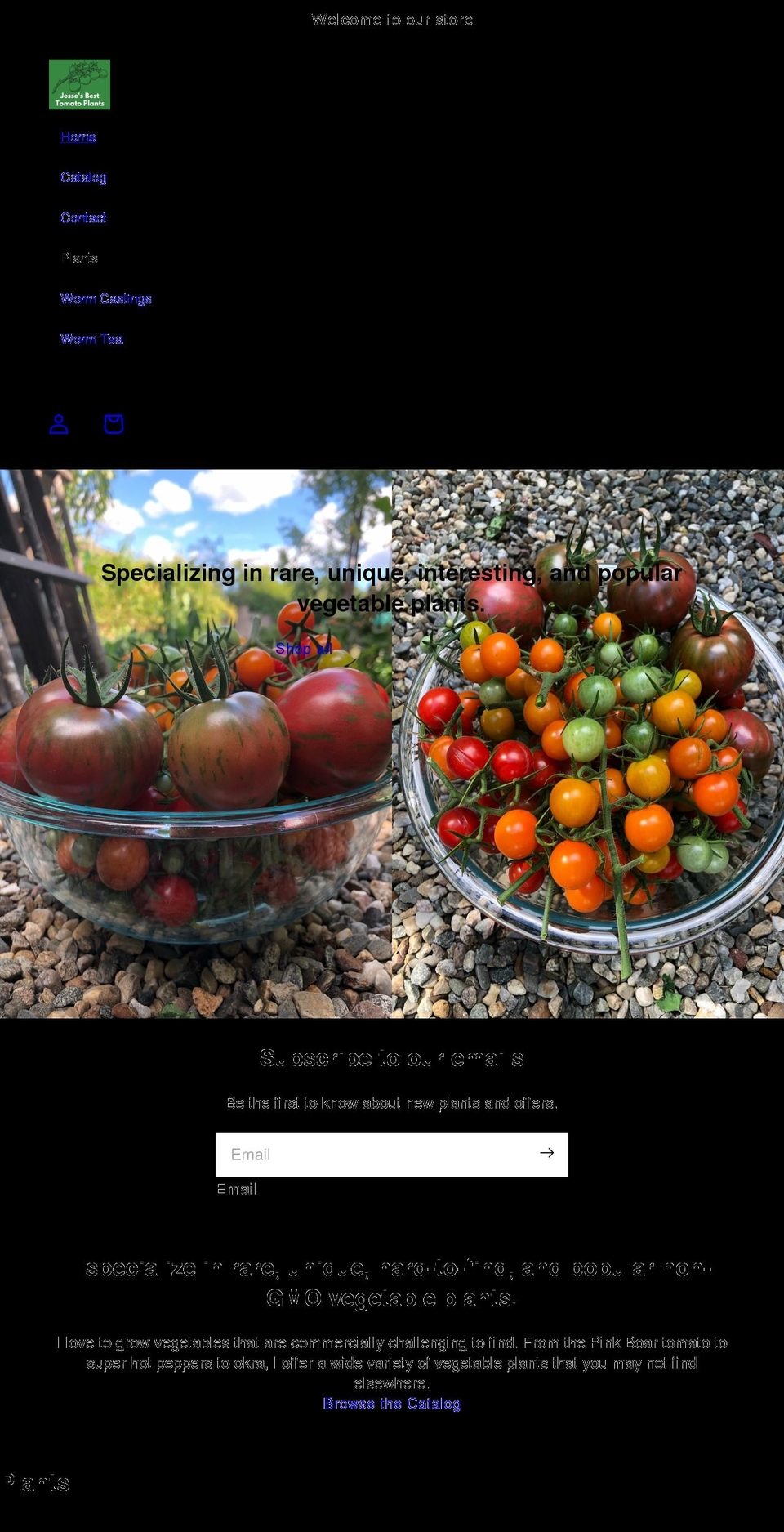 besttomatoplants.com shopify website screenshot