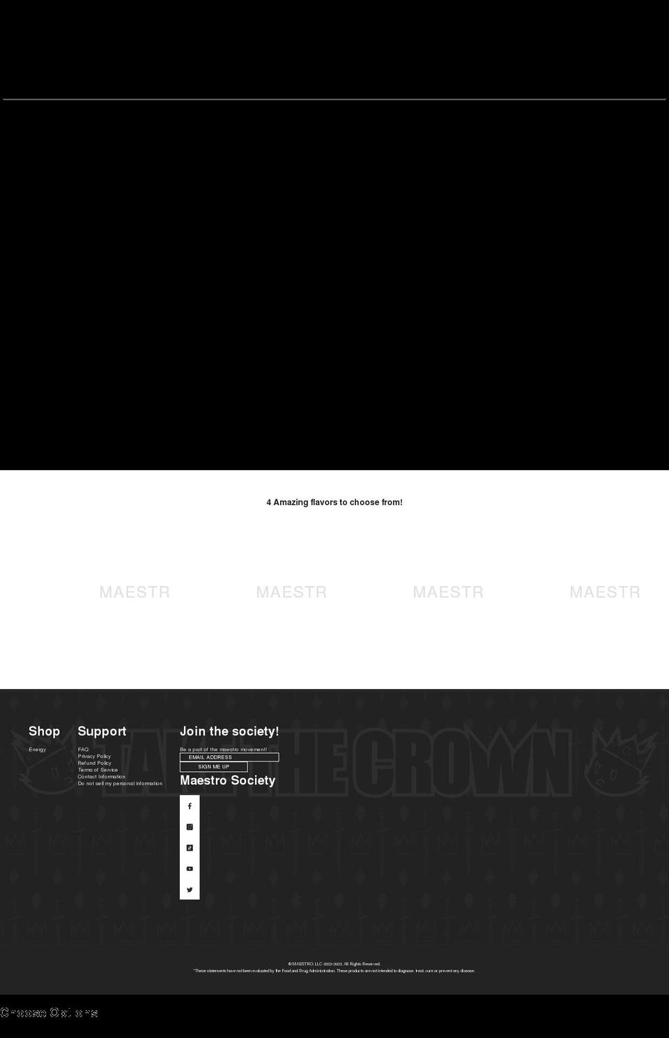 bethemaestro.com shopify website screenshot