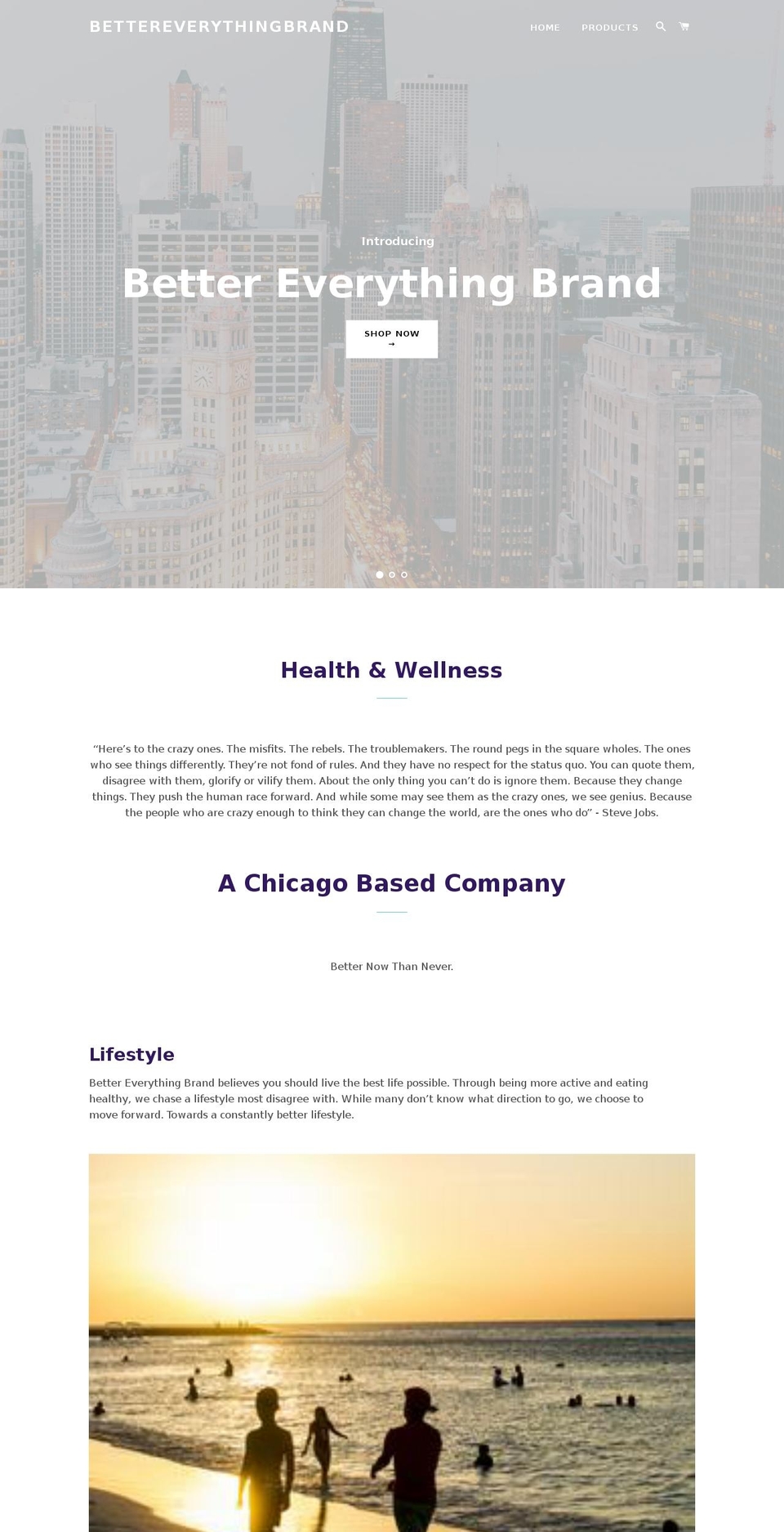 bettereverythingbrand.com — Shopify storefront screenshot
