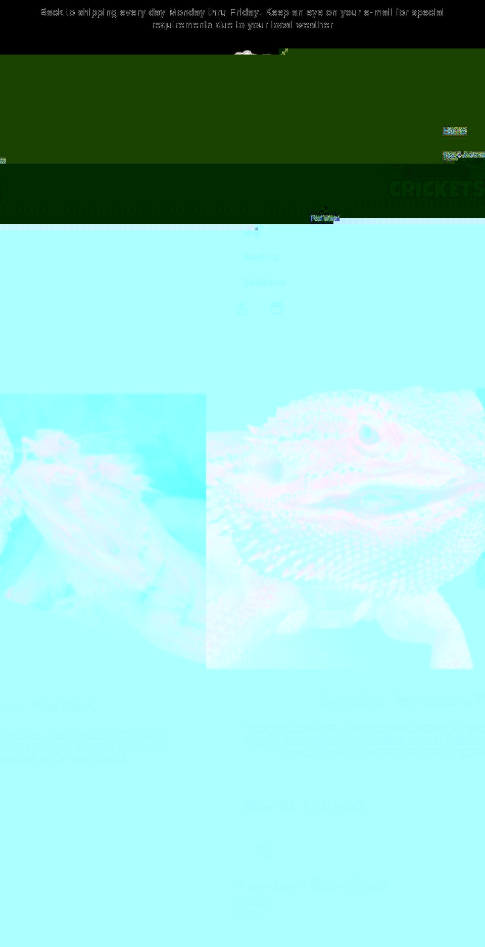 betterthancrickets.com shopify website screenshot
