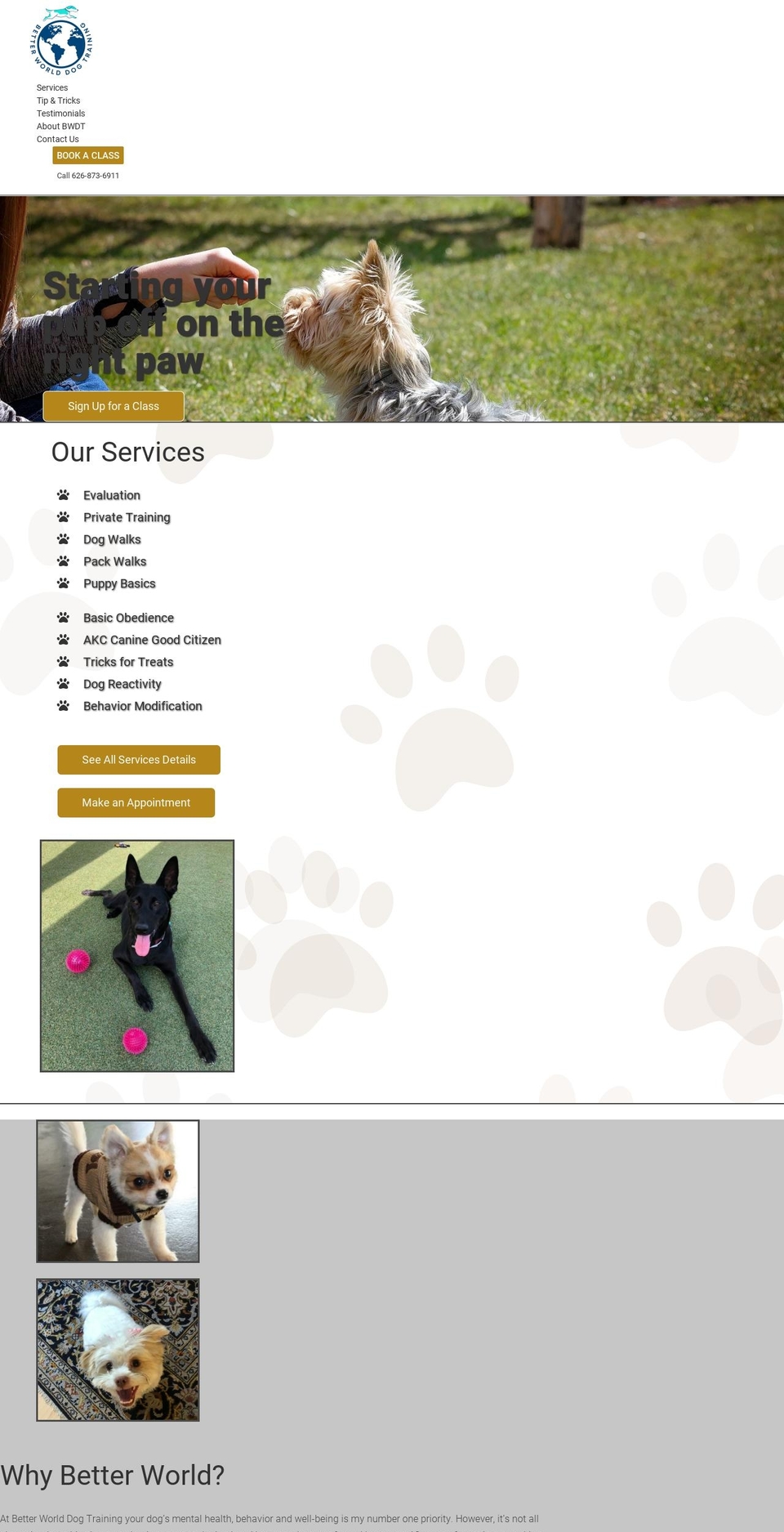 betterworlddogs.com — Shopify storefront screenshot