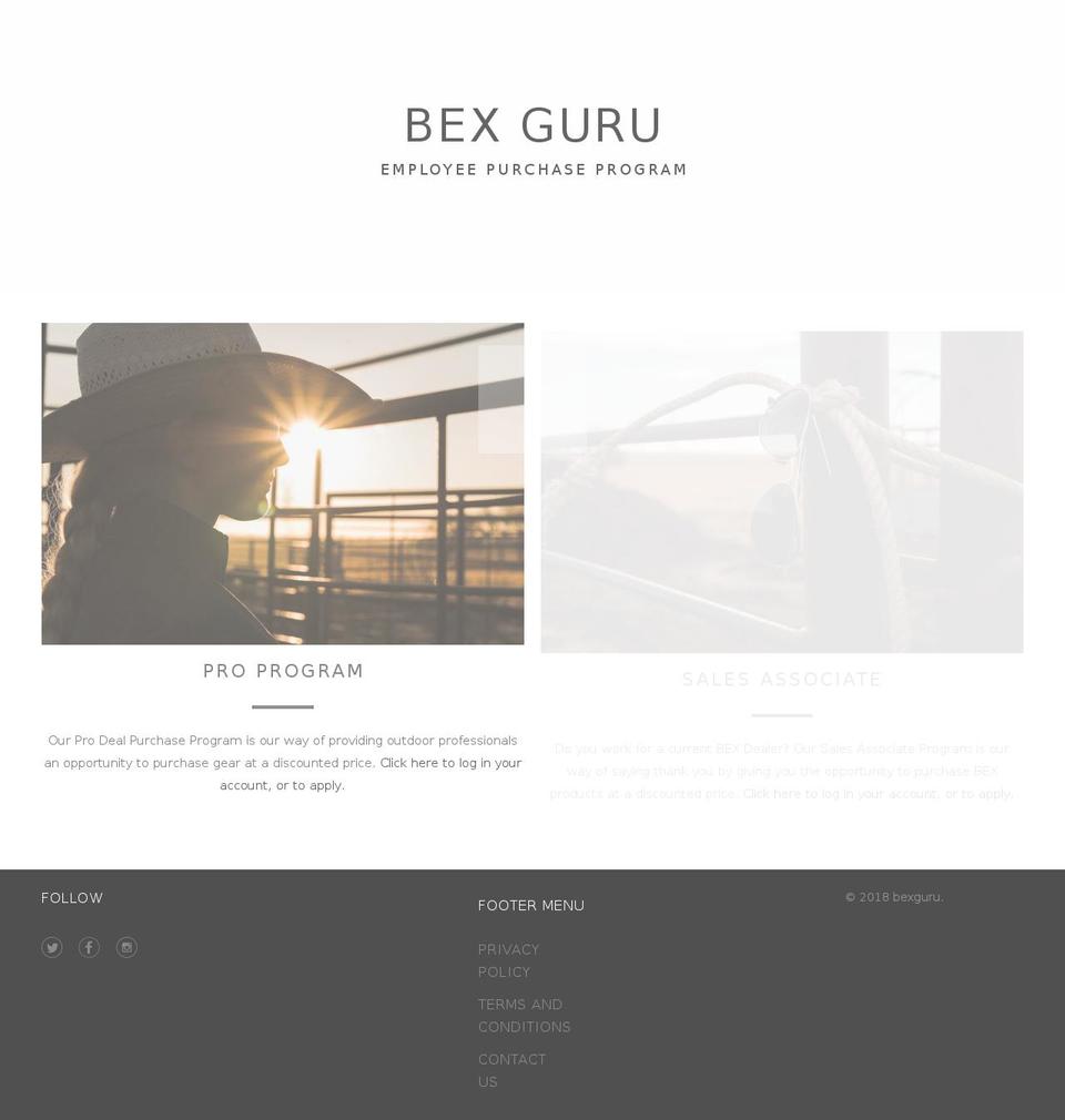 bexguru.com — Shopify storefront screenshot