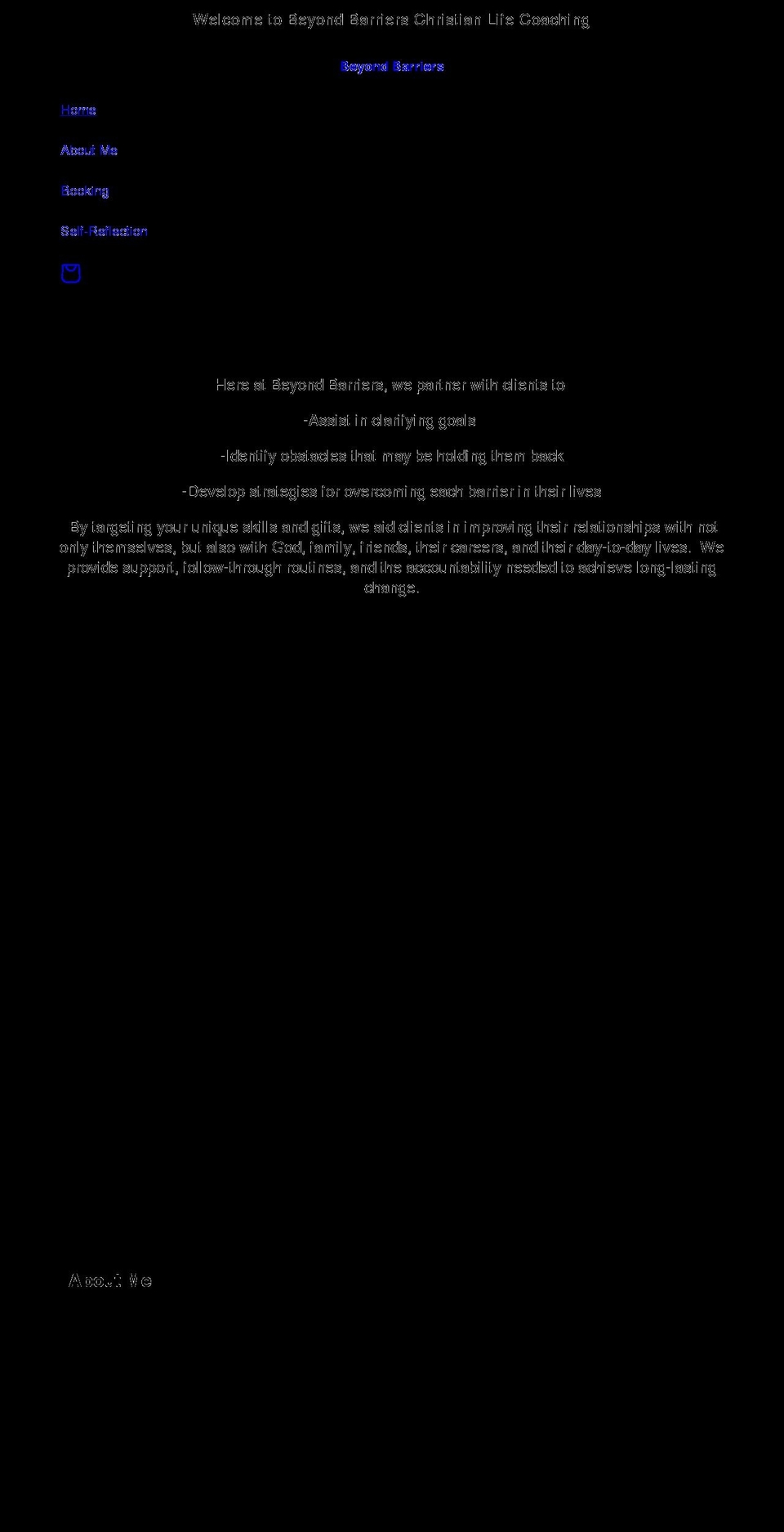 beyondbarriersllc.com shopify website screenshot