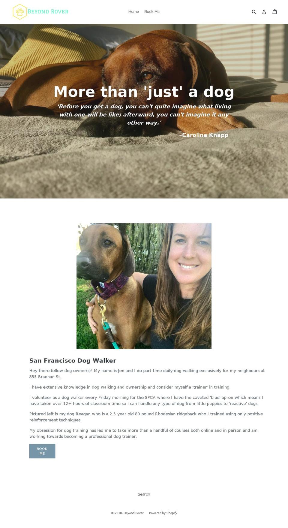 beyondrover.com — Shopify storefront screenshot