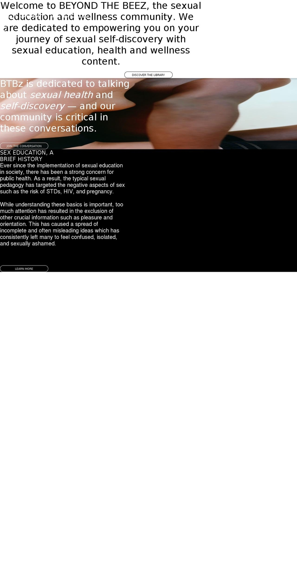 beyondthebeez.com shopify website screenshot