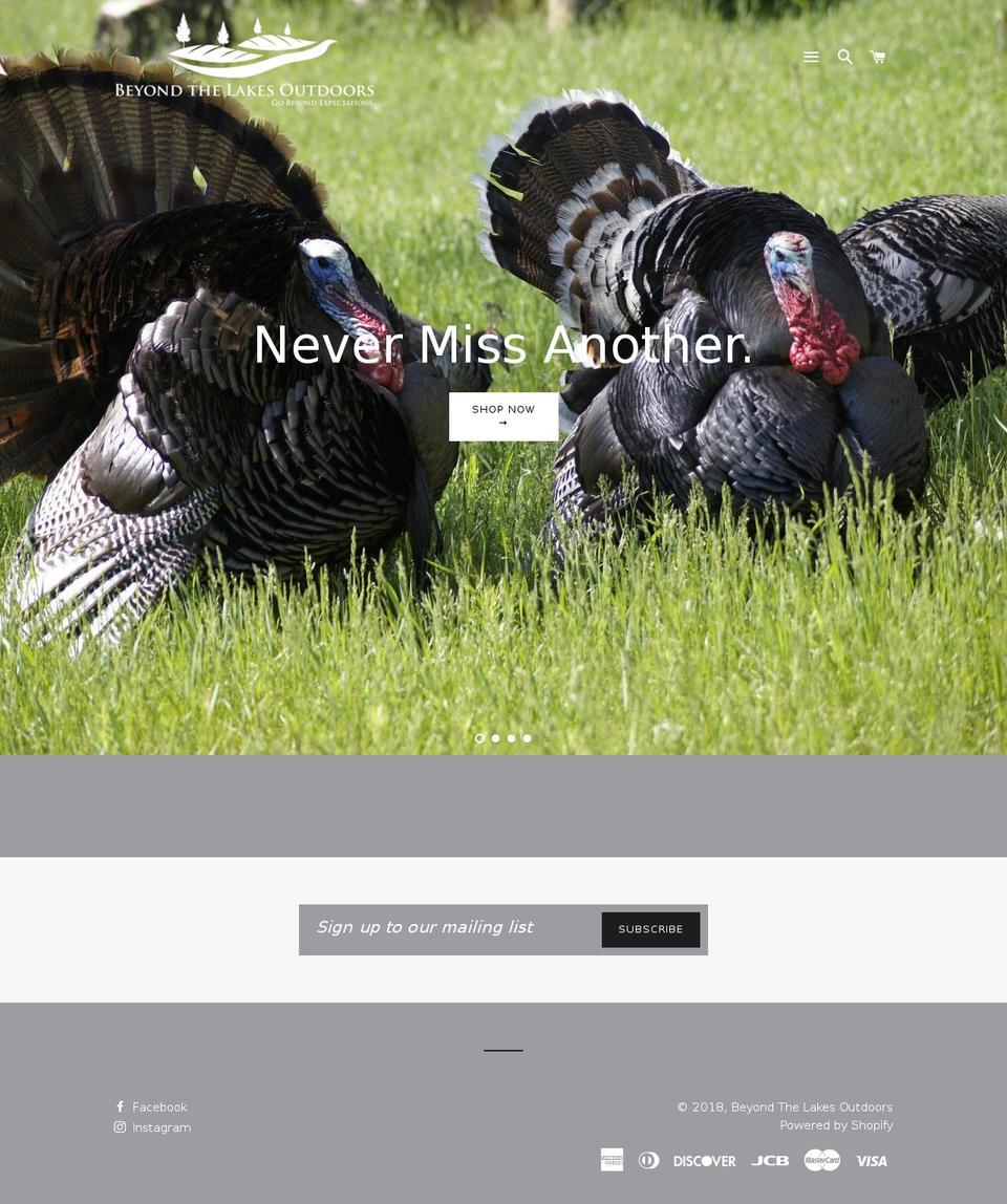 beyondthelakesoutdoors.com — Shopify storefront screenshot