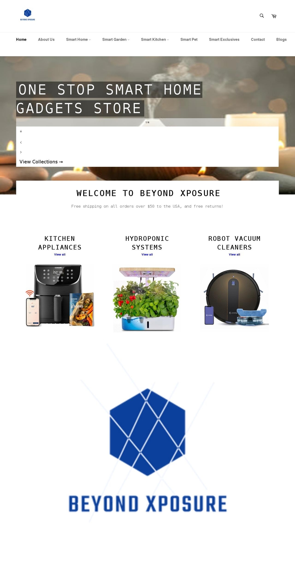 Dropshipusa updated Shopify theme site example beyondxposure.com