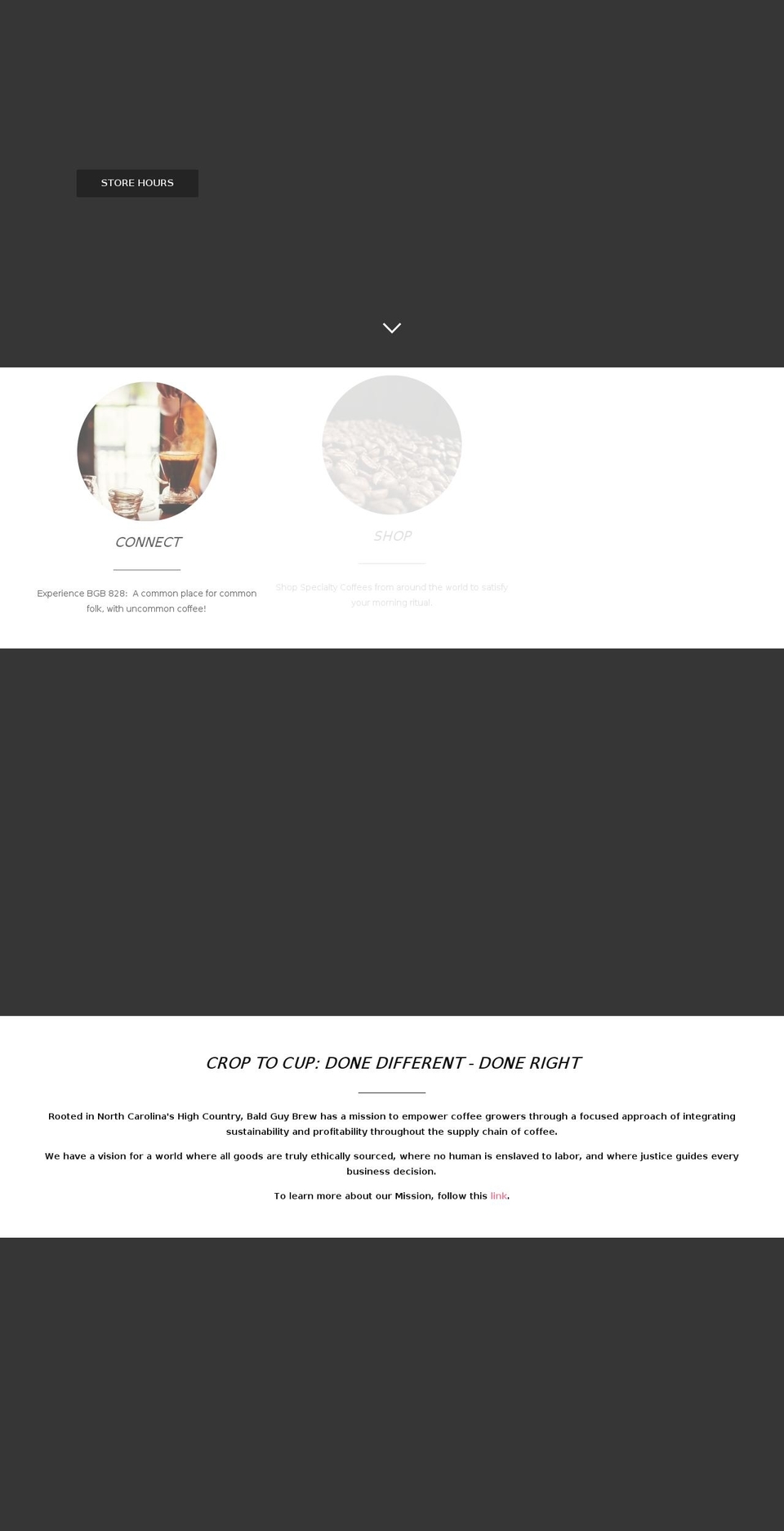 bgbrew.com shopify website screenshot