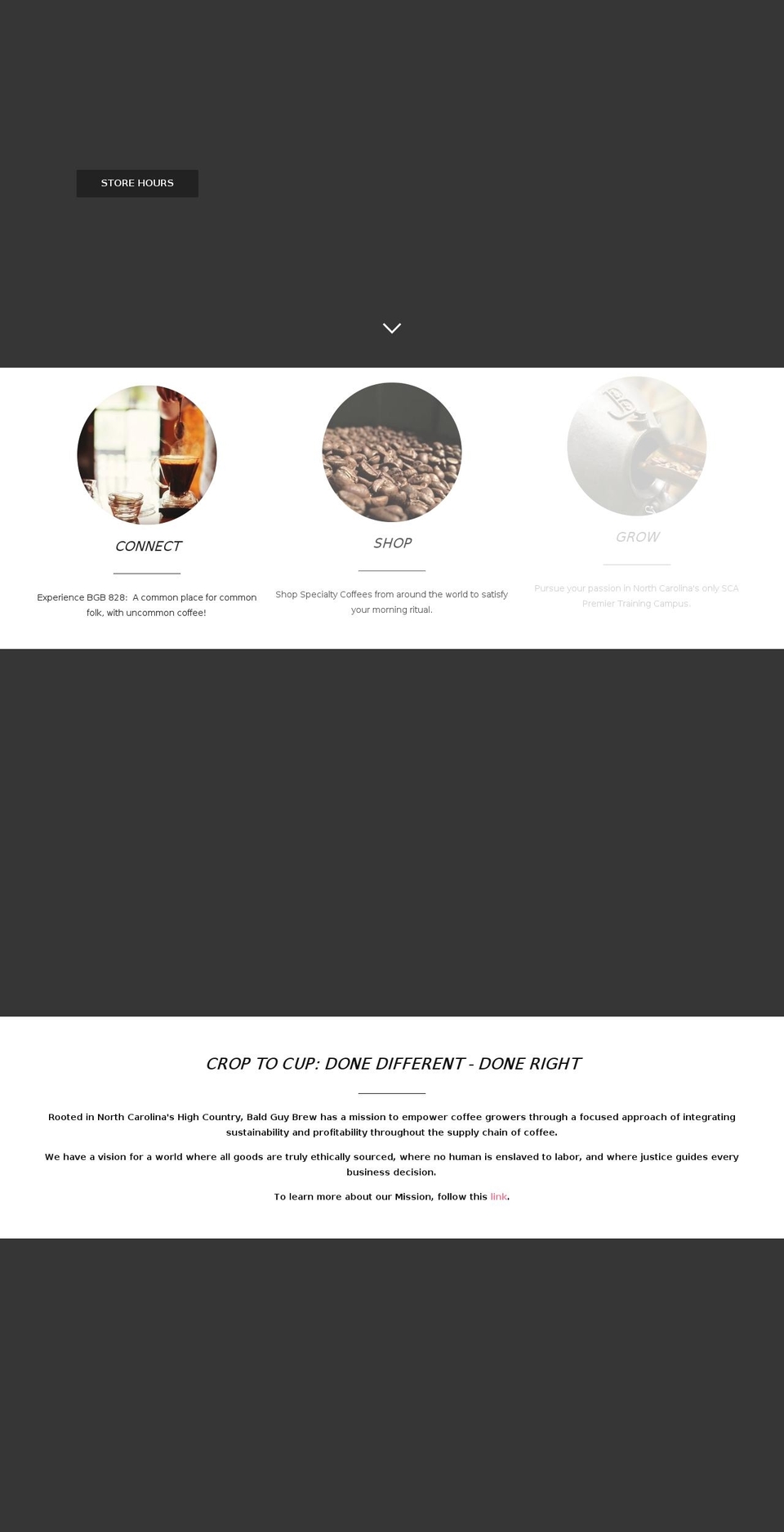bgbrew.net shopify website screenshot
