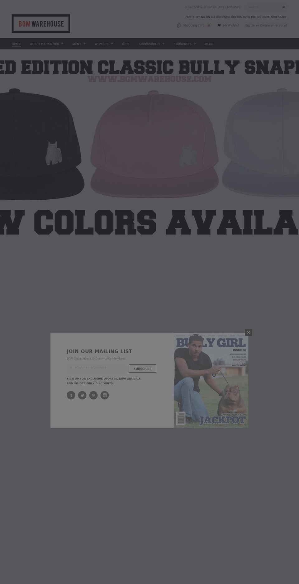 bgmwarehouse.com shopify website screenshot