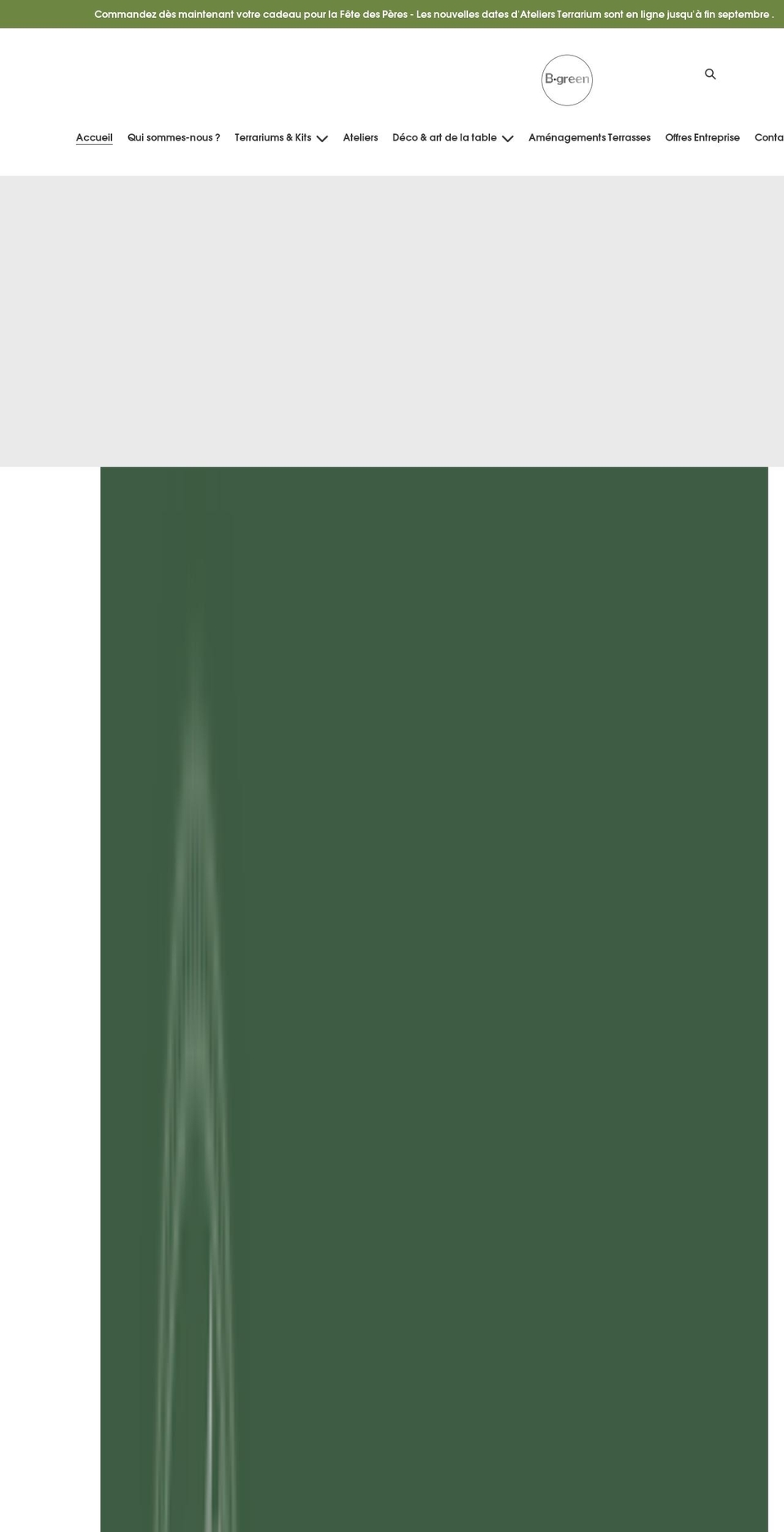 bgreenconcept.com shopify website screenshot