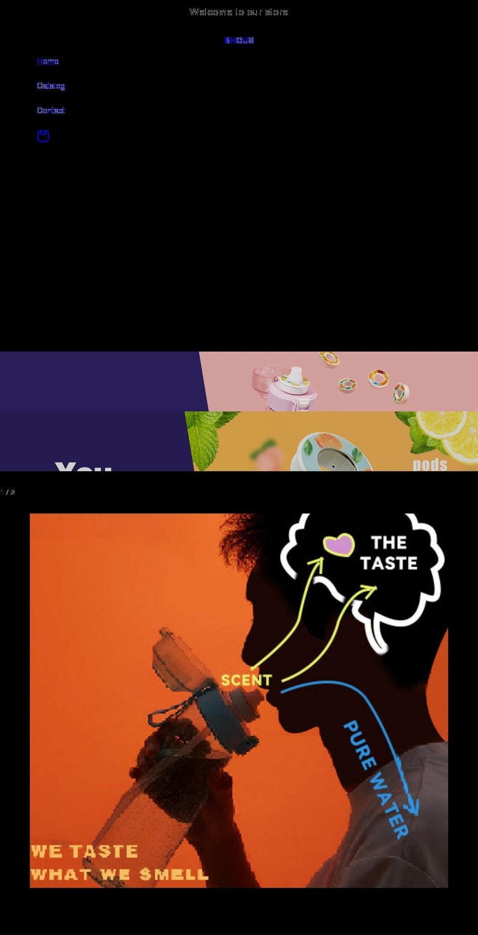bhgus.com shopify website screenshot