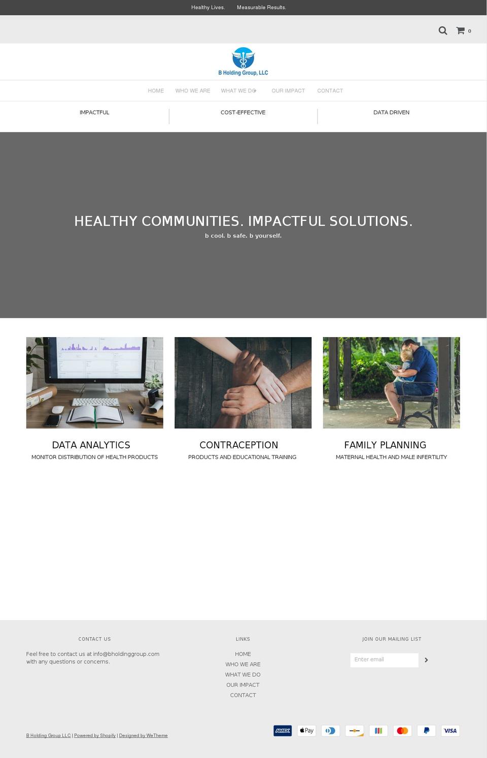bholdinggroup.com shopify website screenshot